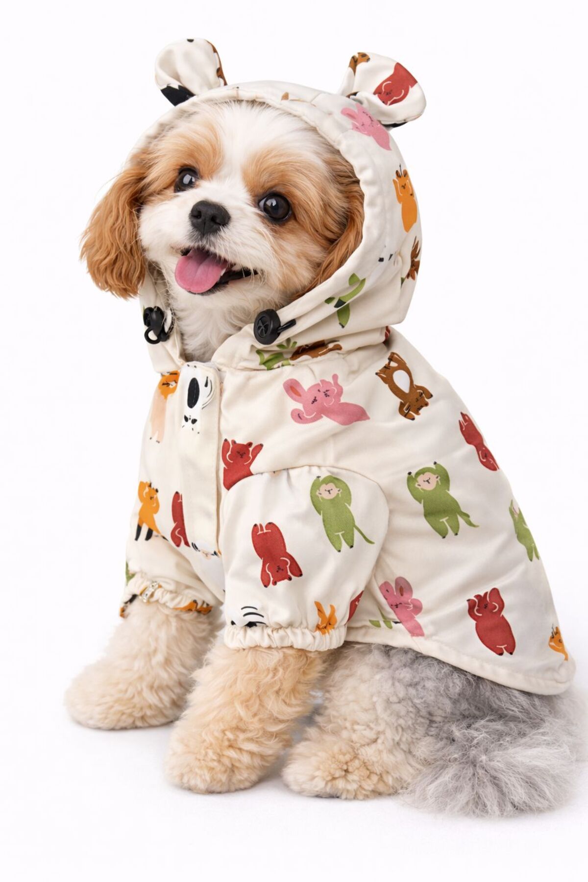 بارانی سگ دولچه پتس Dolce Pets مدل DPKY004، چندرنگ
