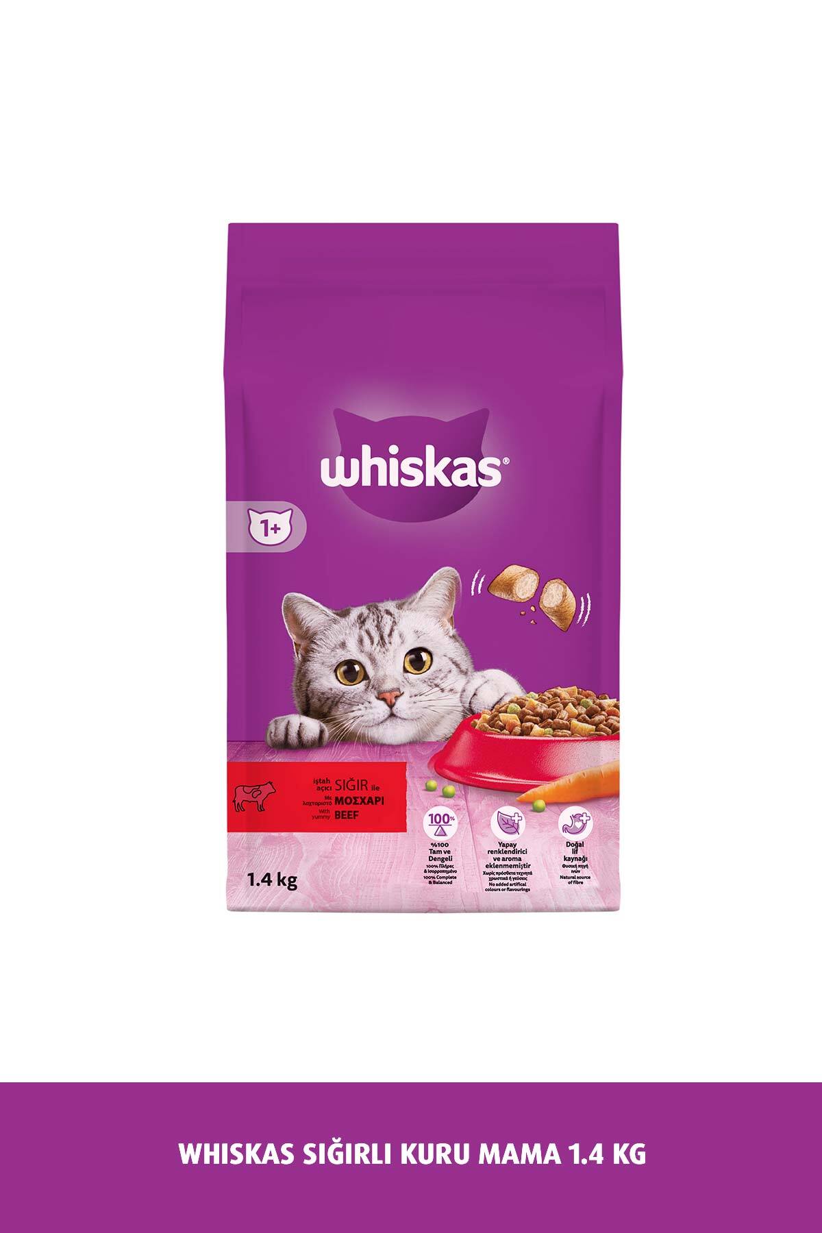 غذای خشک گربه ویسکاس Whiskas با طعم گوشت گاو، ۱٫۴ کیلوگرم 1,4 Kg