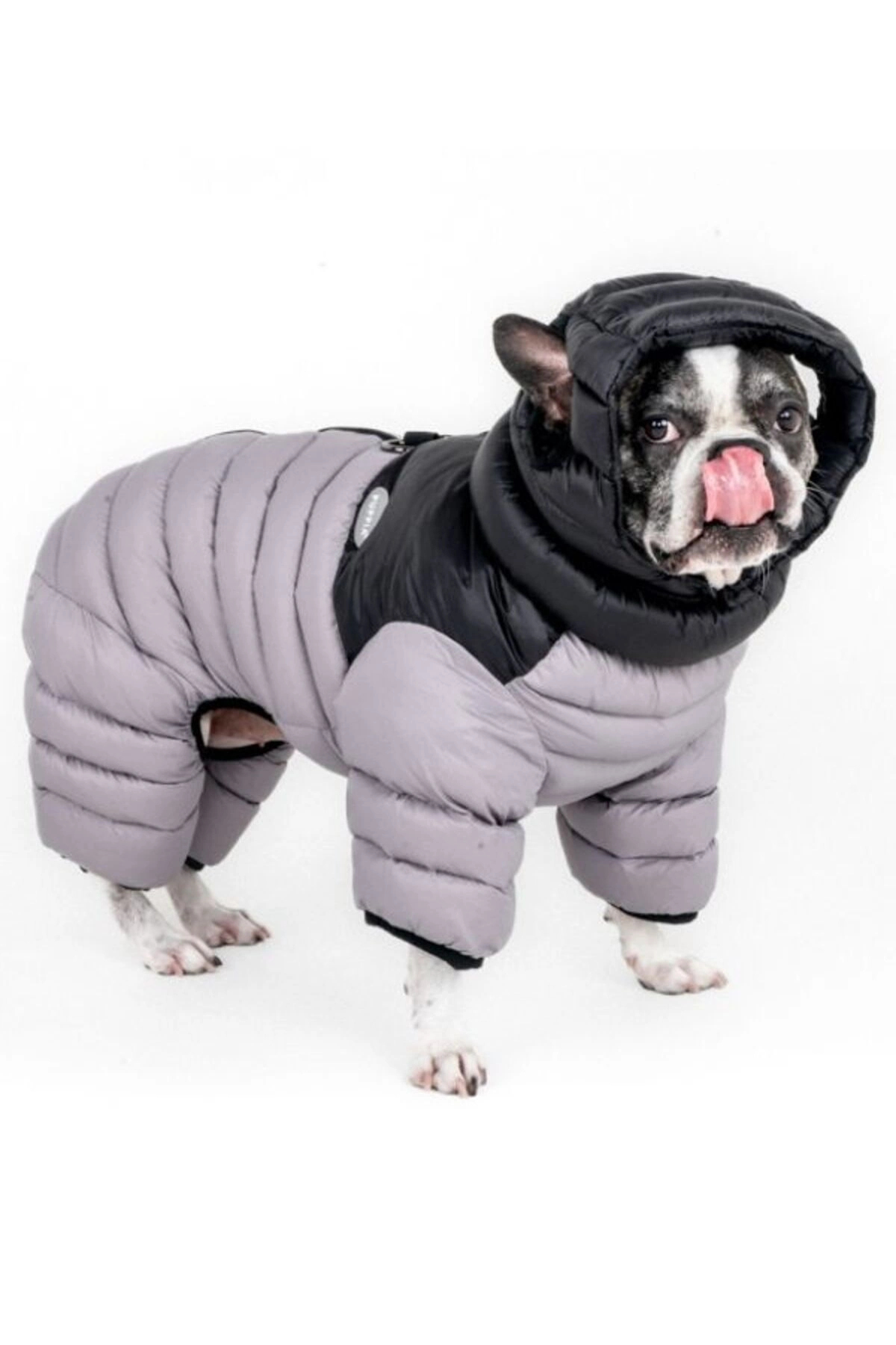 کاپشن سگ پوپیا Puppia مدل Alpine Puffer Suit خاکستری