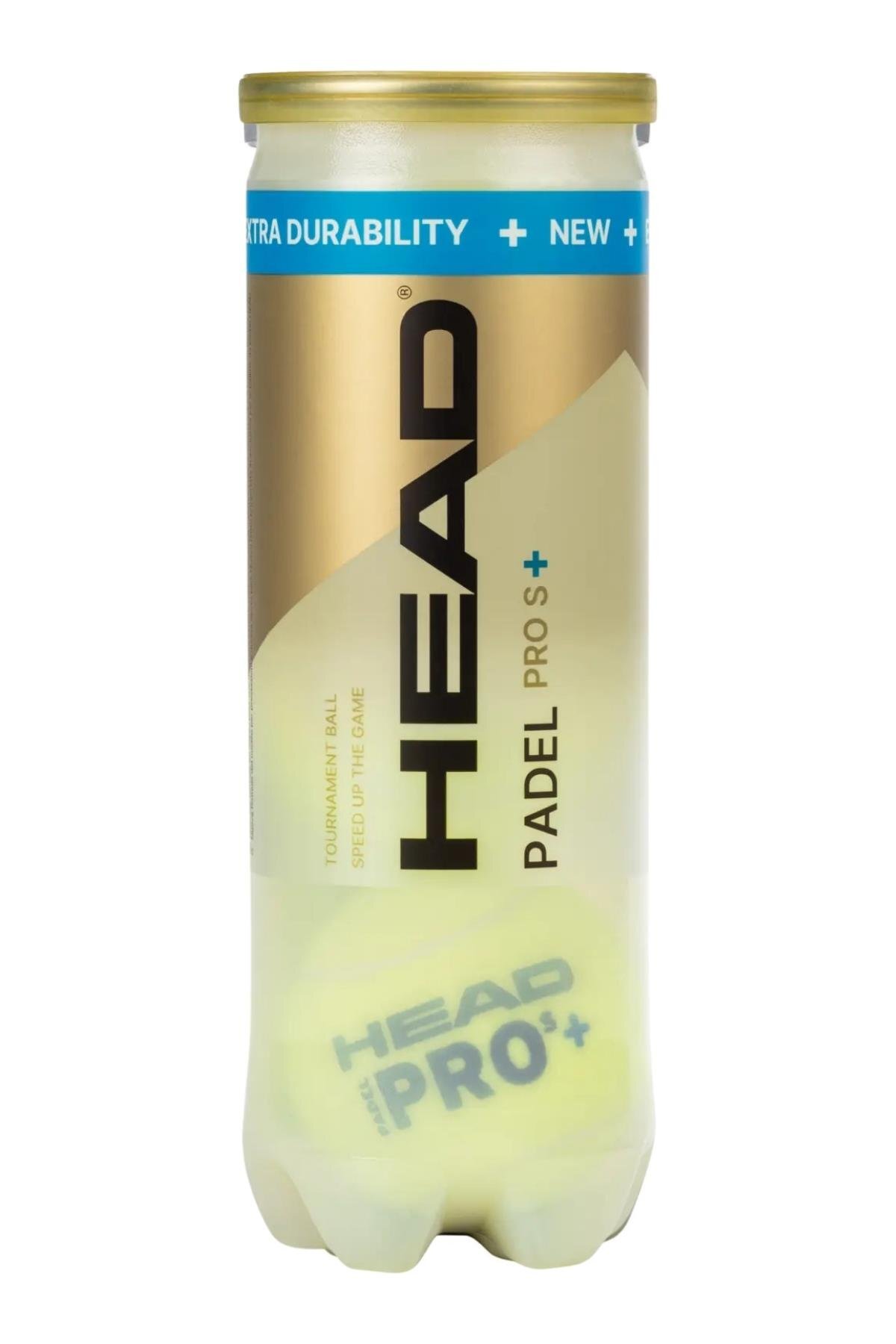 هد (Head)