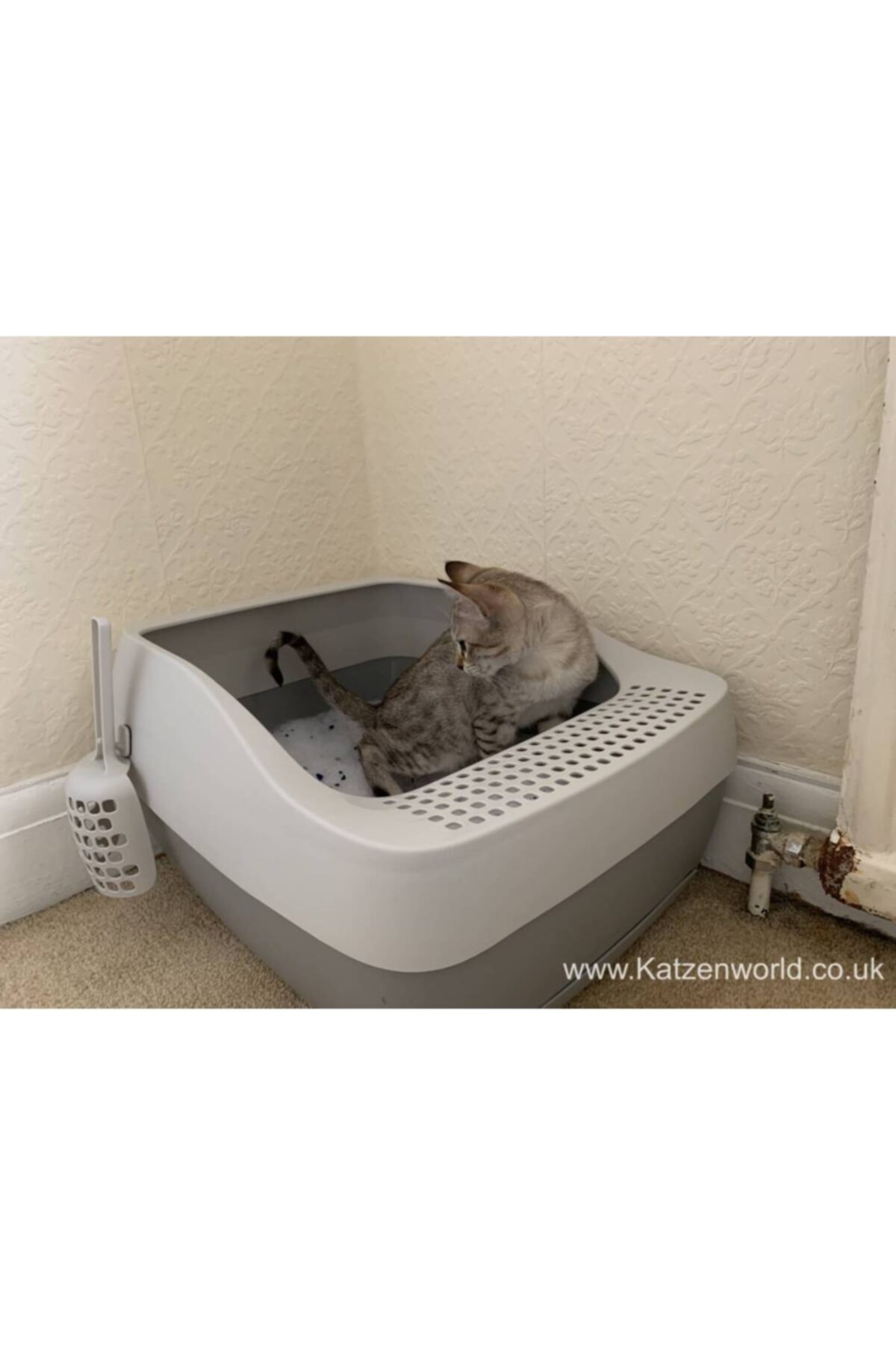 توالت سرپوشیده گربه پت‌سیف PetSafe Deluxe Pwm19-16770