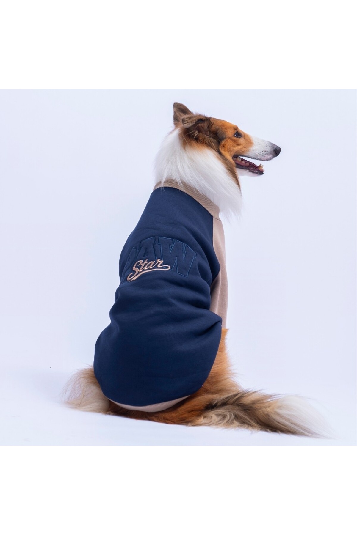 سویشرت سگ پاوستار Pawstar مدل Boston، سرمه‌ای، مناسب نژادهای متوسط و بزرگ