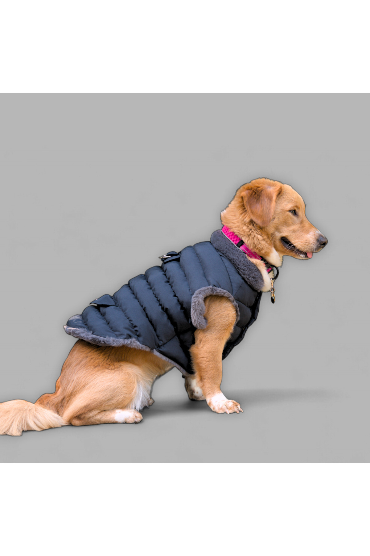 کاپشن پفی سگ لولو دِ اربن پاپ Lulu The Urban Pup، سرمه‌ای، مدل LTUP4000