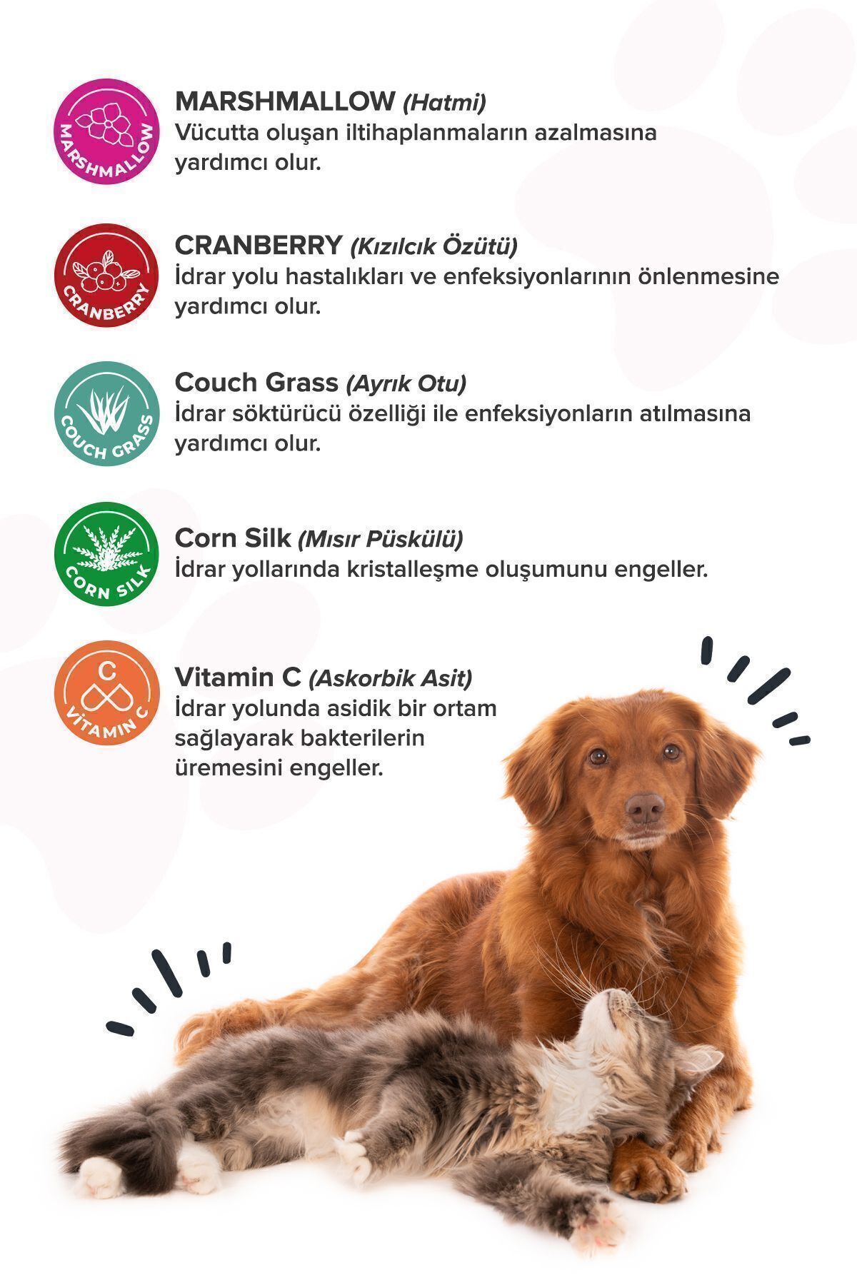 قرص پشتیبان سیستم ادراری گربه و سگ پاتیوگرافیا patiografya Premium Urinary+D