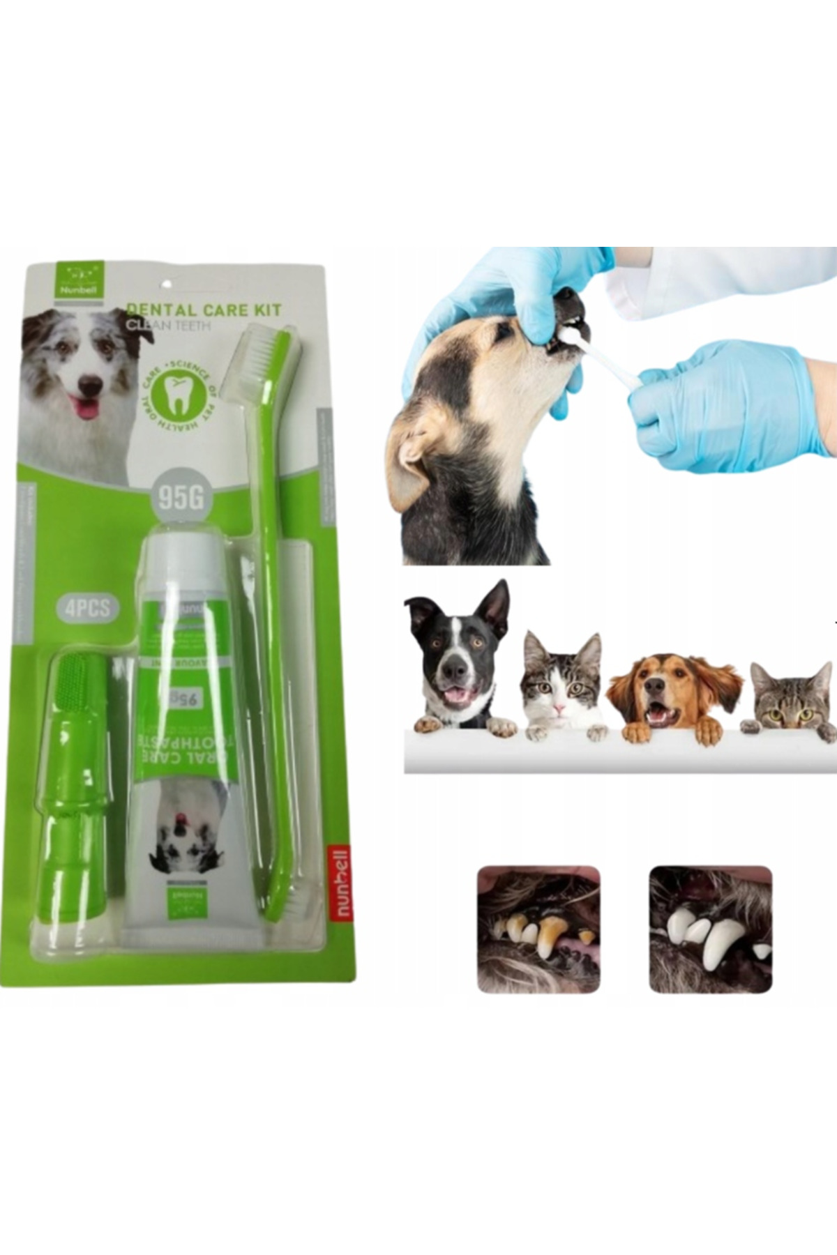 ست مسواک و خمیردندان گربه و سگ نانبل Nunbell، Dental Kit، مدل NBML3603