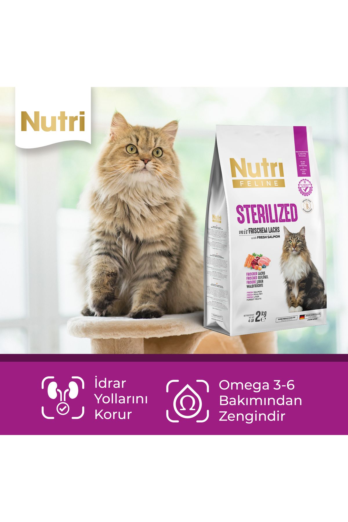 غذای خشک گربه عقیم‌شده نوتری فیلاین nutrifeline Nutri Feline سری Sterilized با سالمون تازه، ۲ کیلوگرم