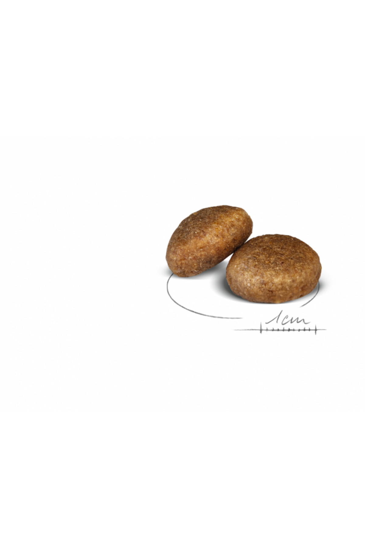 غذای خشک سگ رویال کنین Royal Canin Maxi Adult، مخصوص سگ‌های بالغ نژاد بزرگ، ۱۵ کیلوگرمی
