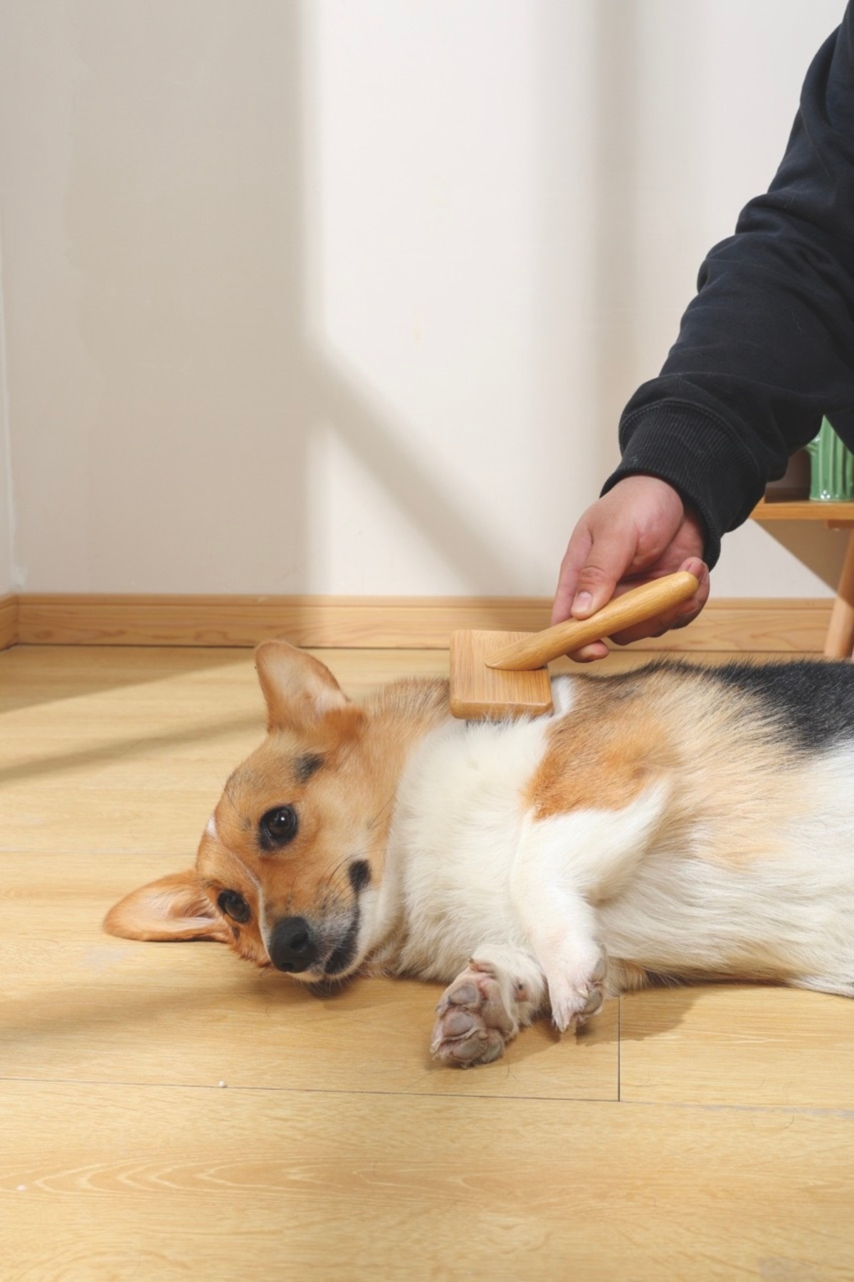 برس سیمی ظریف بامبو ام‌پتس M-PETS (M)