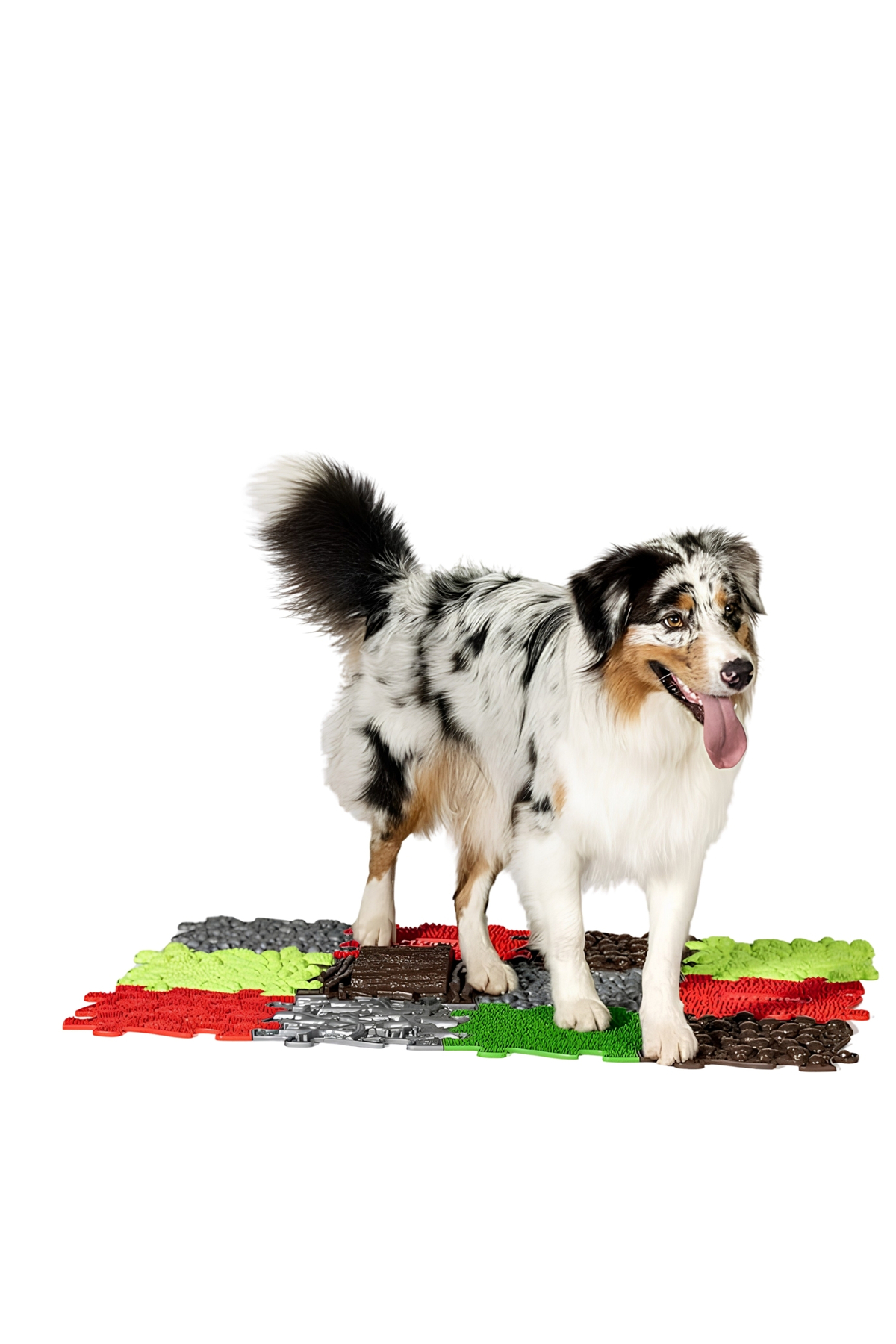 مت ارتوپدی سگ مافیک Muffik Happy Dogs، ۸ پارچه، مدل MFK-069