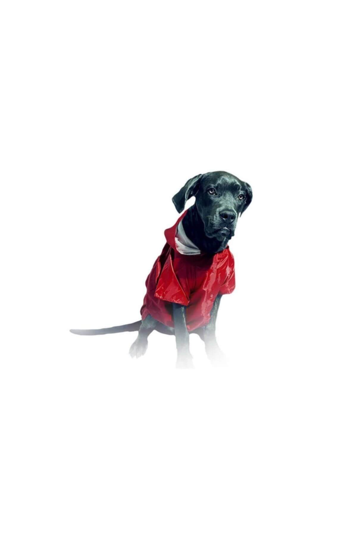 بارانی سگ داگ‌تورین DogTorin قرمز، سایز ۵۵ سانتی‌متر