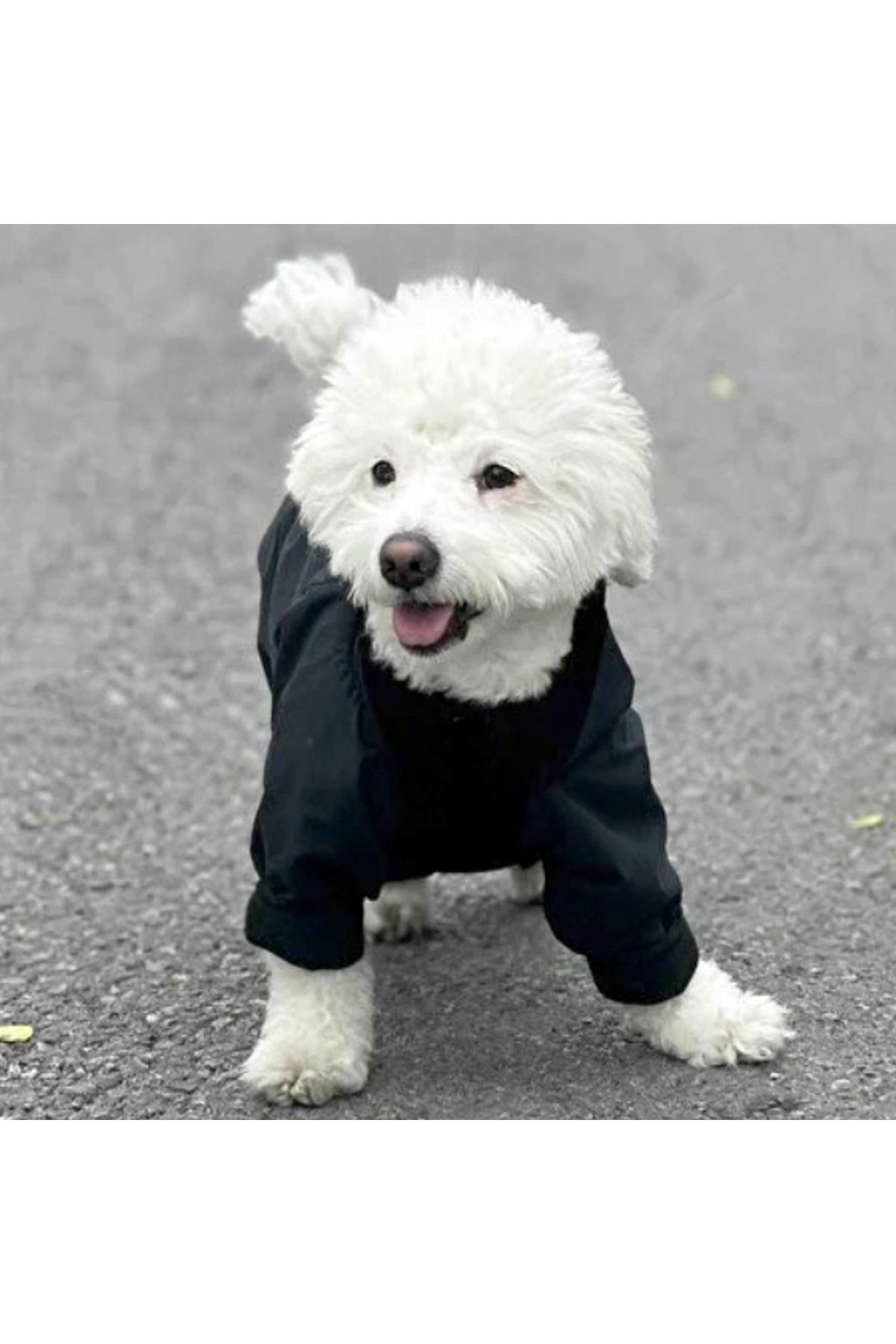 بارانی سرهمی آستردار سگ آلفادگ دیزاین Alphadog Design، مشکی
