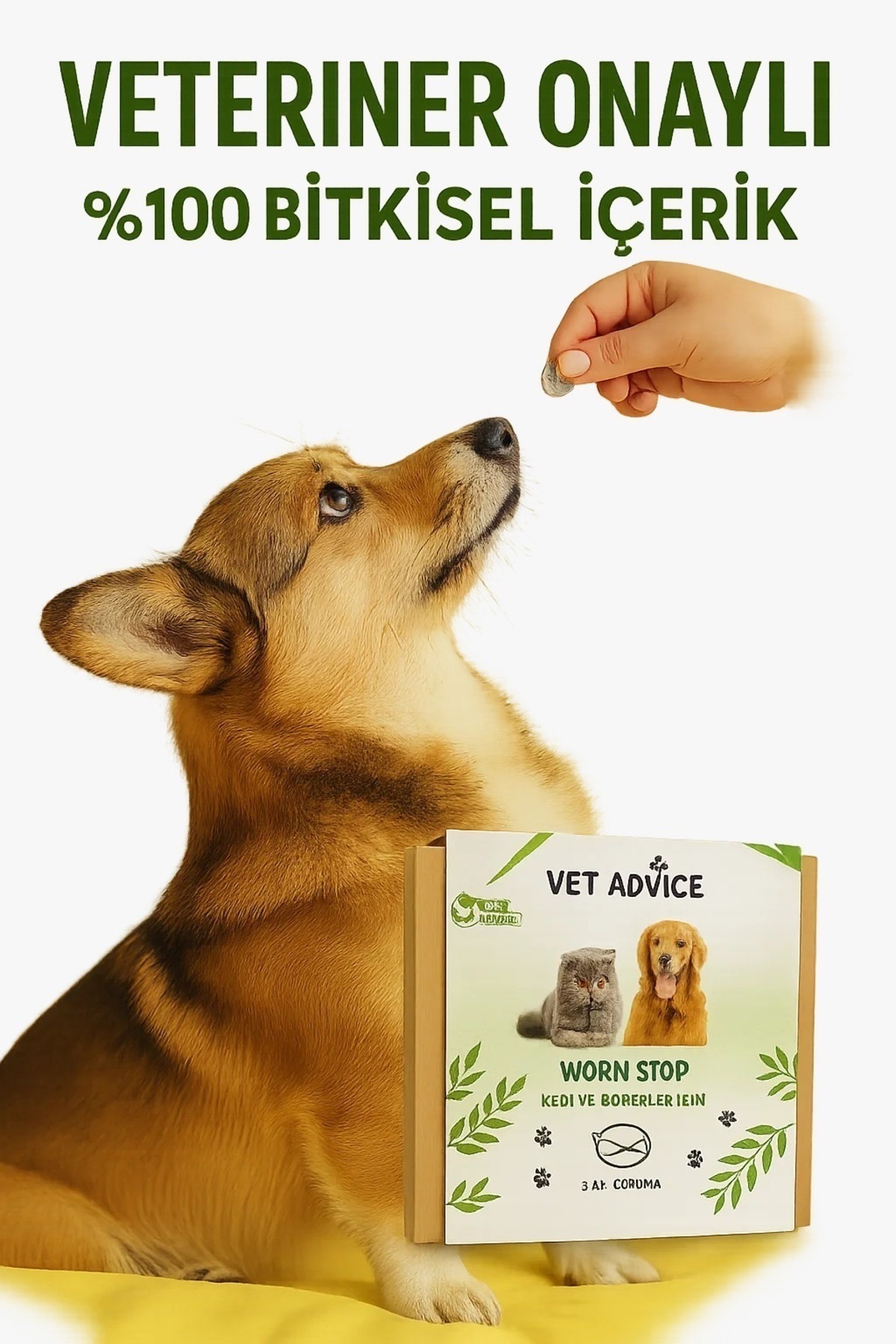 ست قرص و قطره گیاهی برای گربه و سگ وت ادوایس Vet Advice