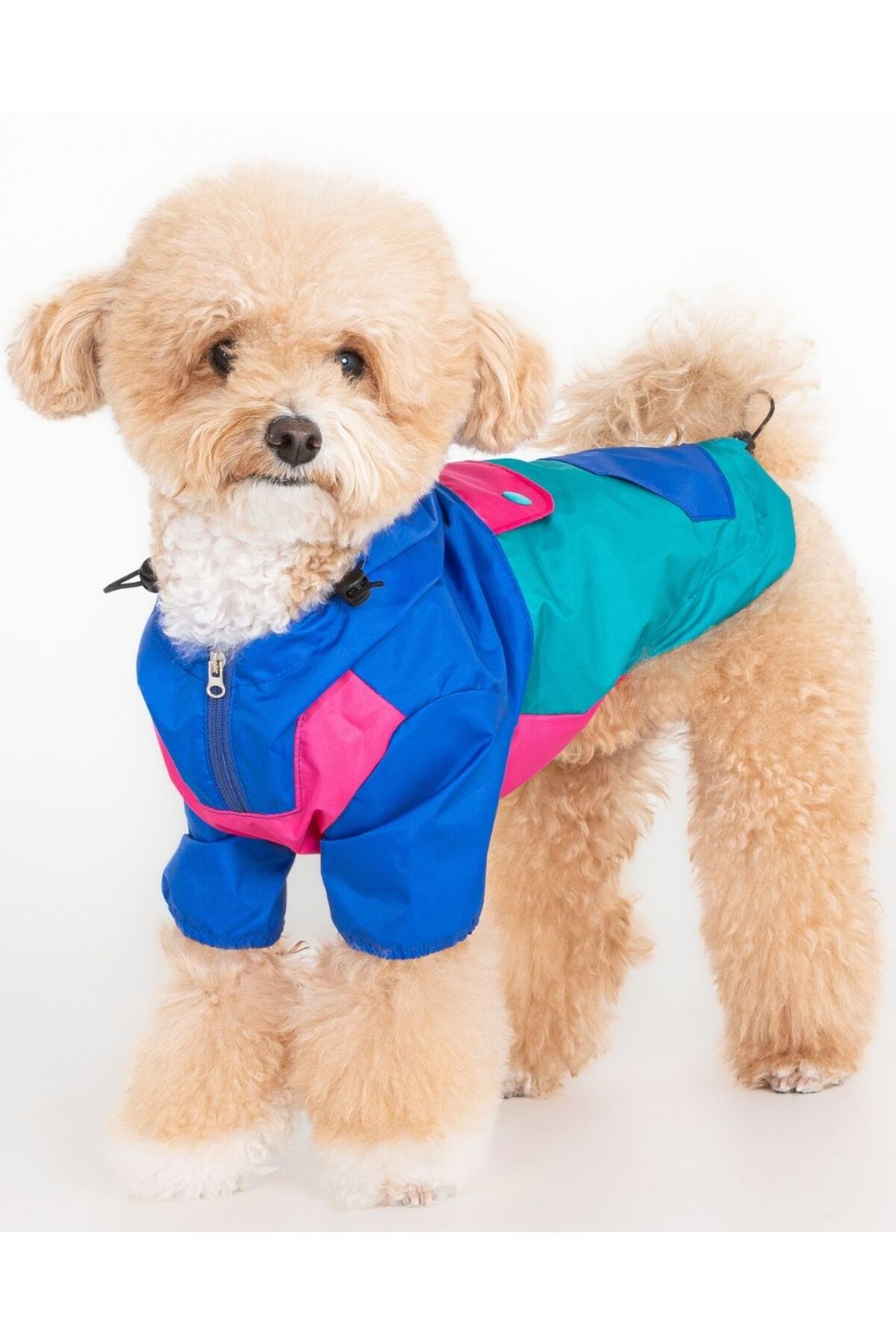 بارانی سگ پوپیا Puppia Rover، مدل PBAA-RM2307، آبی