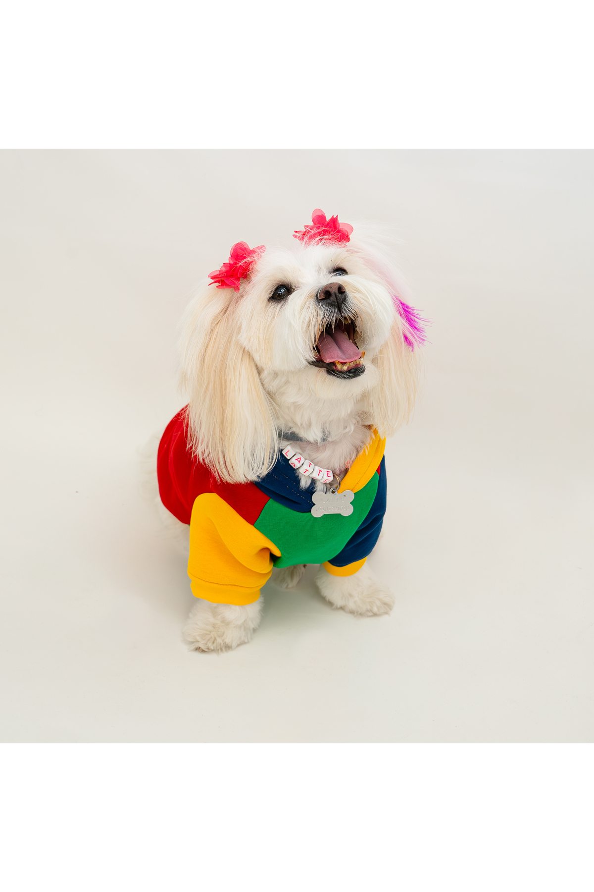 سویشرت کلاه‌دار گربه و سگ بادی استور Buddy Store، بژ، مدل BS-SWCOLORFUL