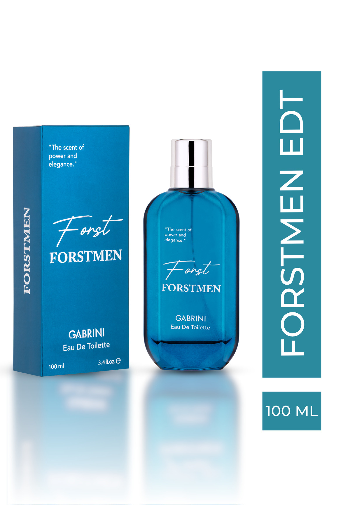 عطر مردانه FORTMEN ادوتویلت 120 میل اورجینال Gabrini