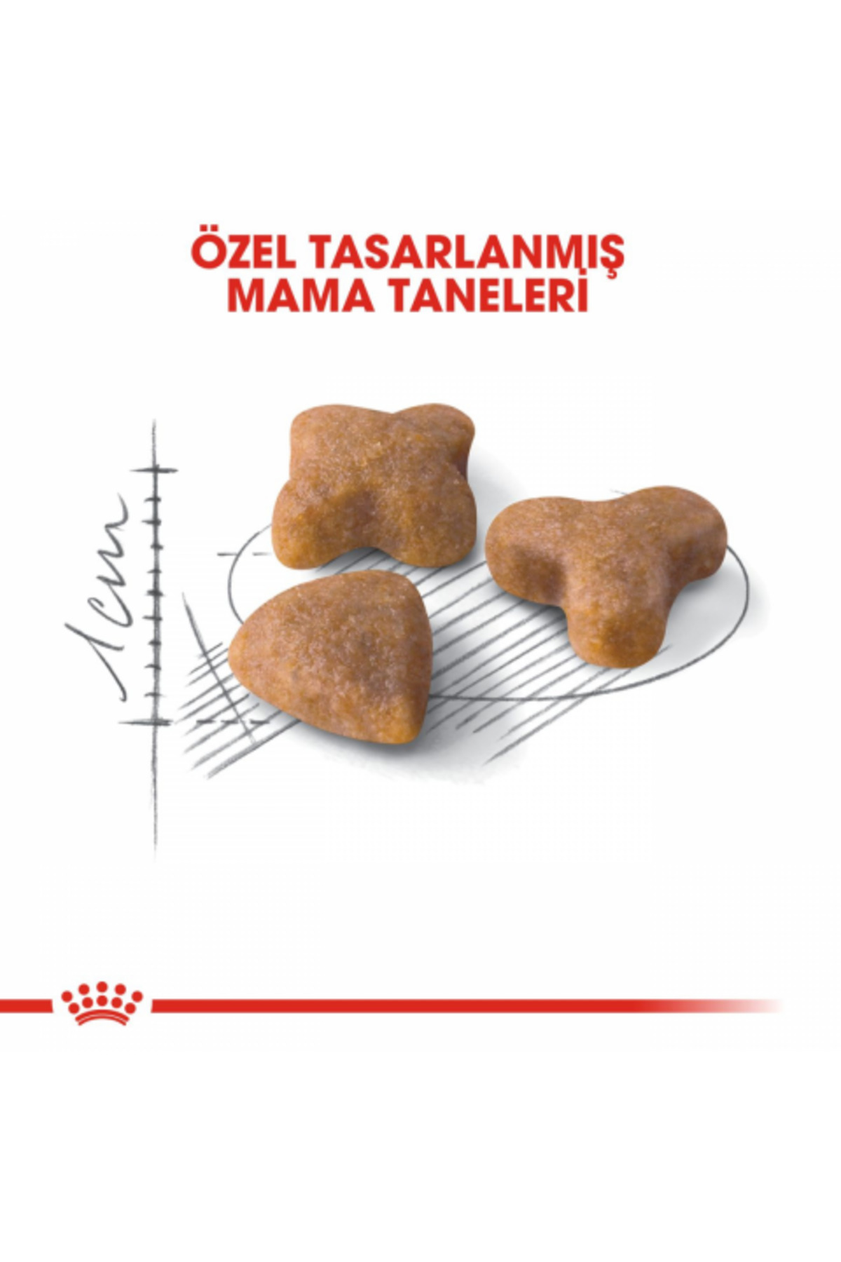 غذای خشک گربه بالغ حساس Sensible 33 رویال کنین Royal Canin، ۱۰ کیلوگرم