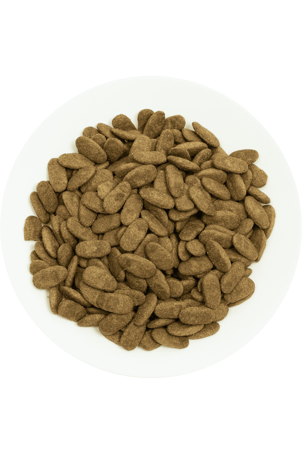 غذای خشک سگ پروچویس ProChoice Proderma Lamb 18 Kg