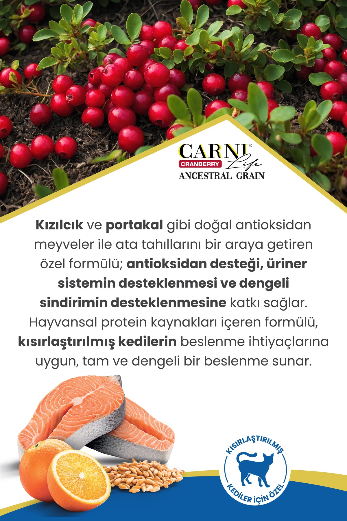غذای خشک گربه عقیم‌شده کرنبری آنسسترال گرین با سالمون و پرتقال، ۱۰+۲ کیلوگرم کارنی لایف Carni Life