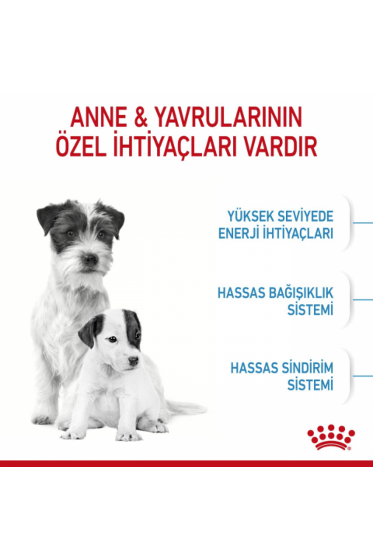 غذای خشک سگ رویال کنین Royal Canin Mini Mothers & Baby Dogs، ۱ کیلوگرم