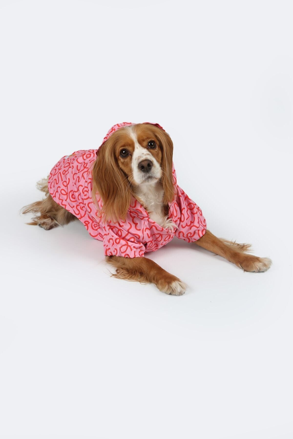 کاپشن پلار سگ Pink Confusion پت‌پرسون Petperson صورتی