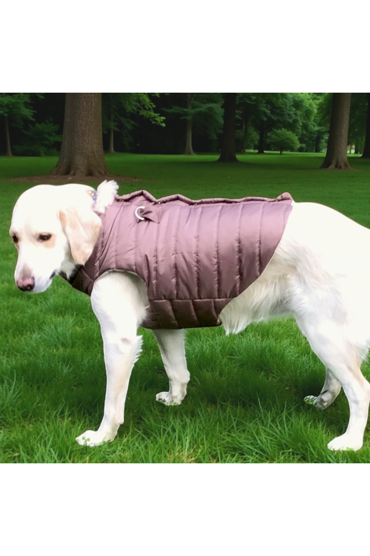 کاپشن پافر سبک سگ لولو دِ اربن پاپ Lulu The Urban Pup، بژ عسلی
