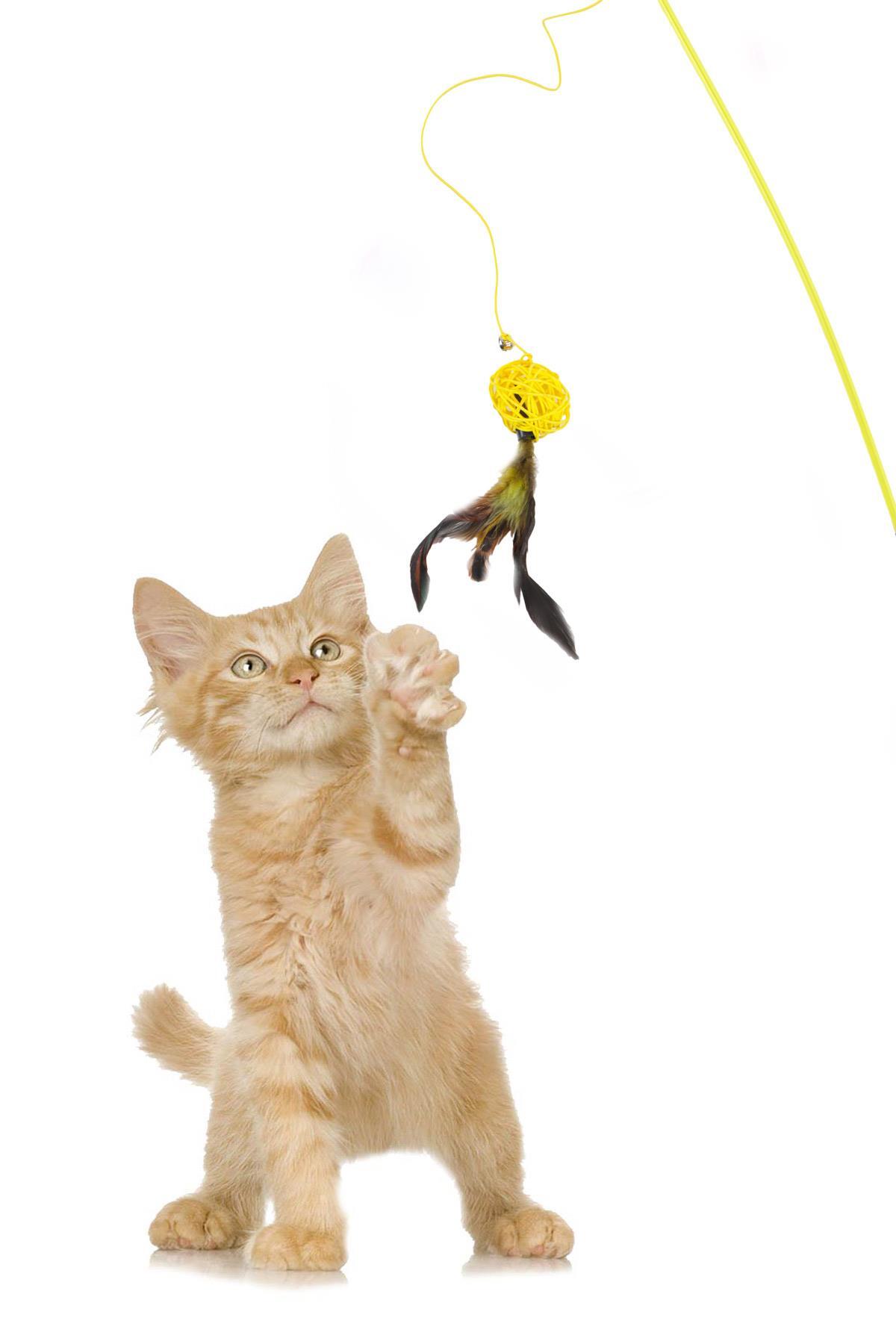 چوب بازی گربه گوبی‌پت GOBYPET، مدل 003940، با توپ زرد و تزئینات پشمالو
