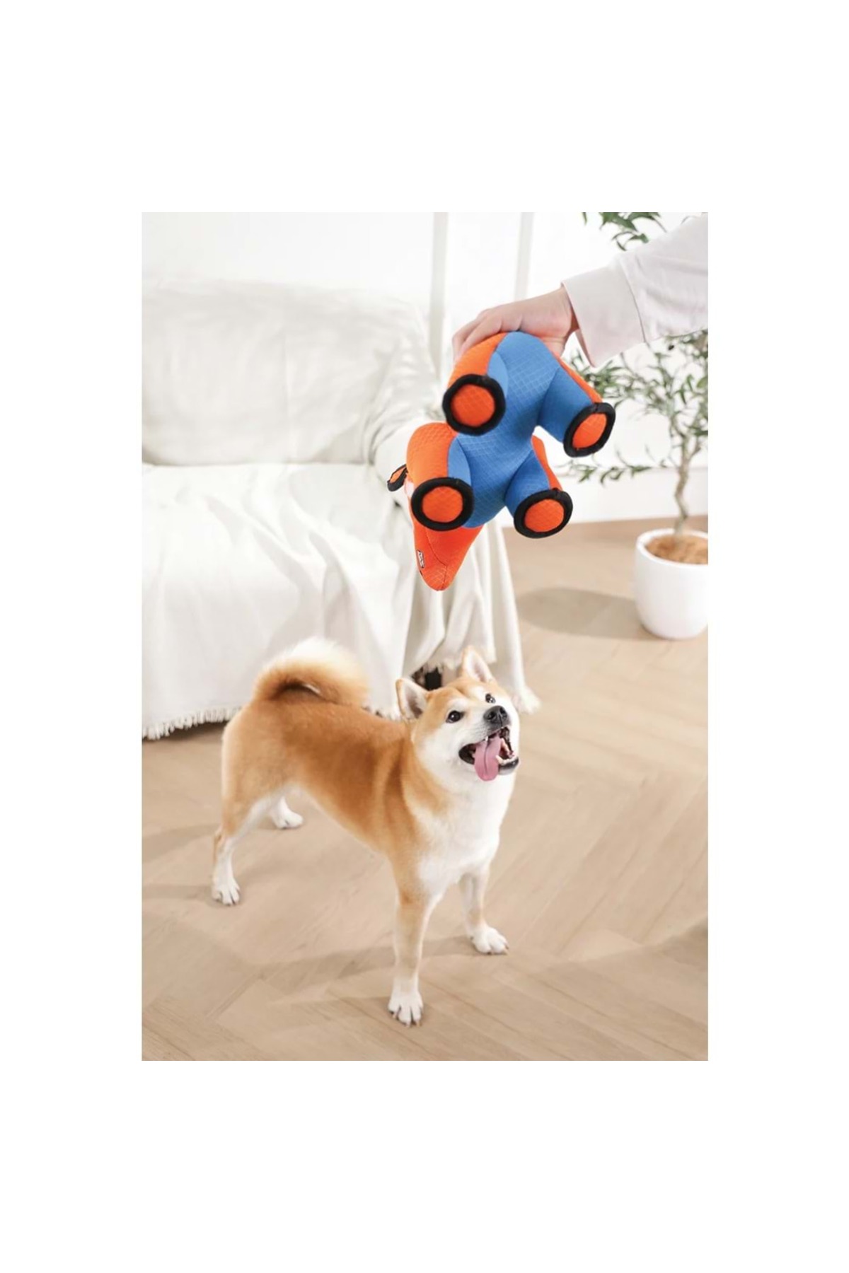 اسباب‌بازی سگ مگا کرگدن ام‌پتس M-PETS چندرنگ