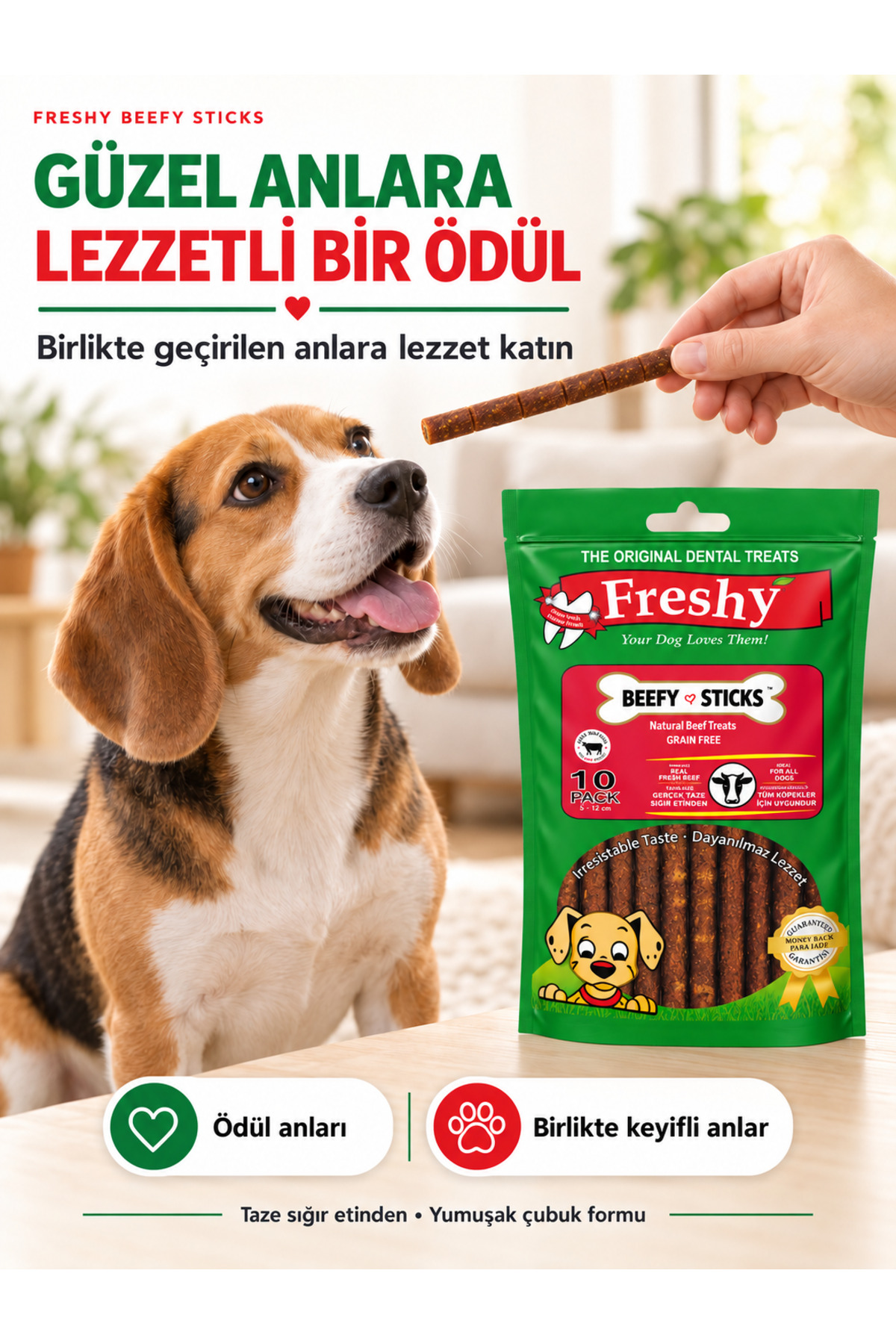 تشویقی نرم و بدون غلات سگ فرشی Freshy Beefy Sticks، ۱۰ عدد، ۱۲ سانتی‌متر، ۱۰۰ گرم