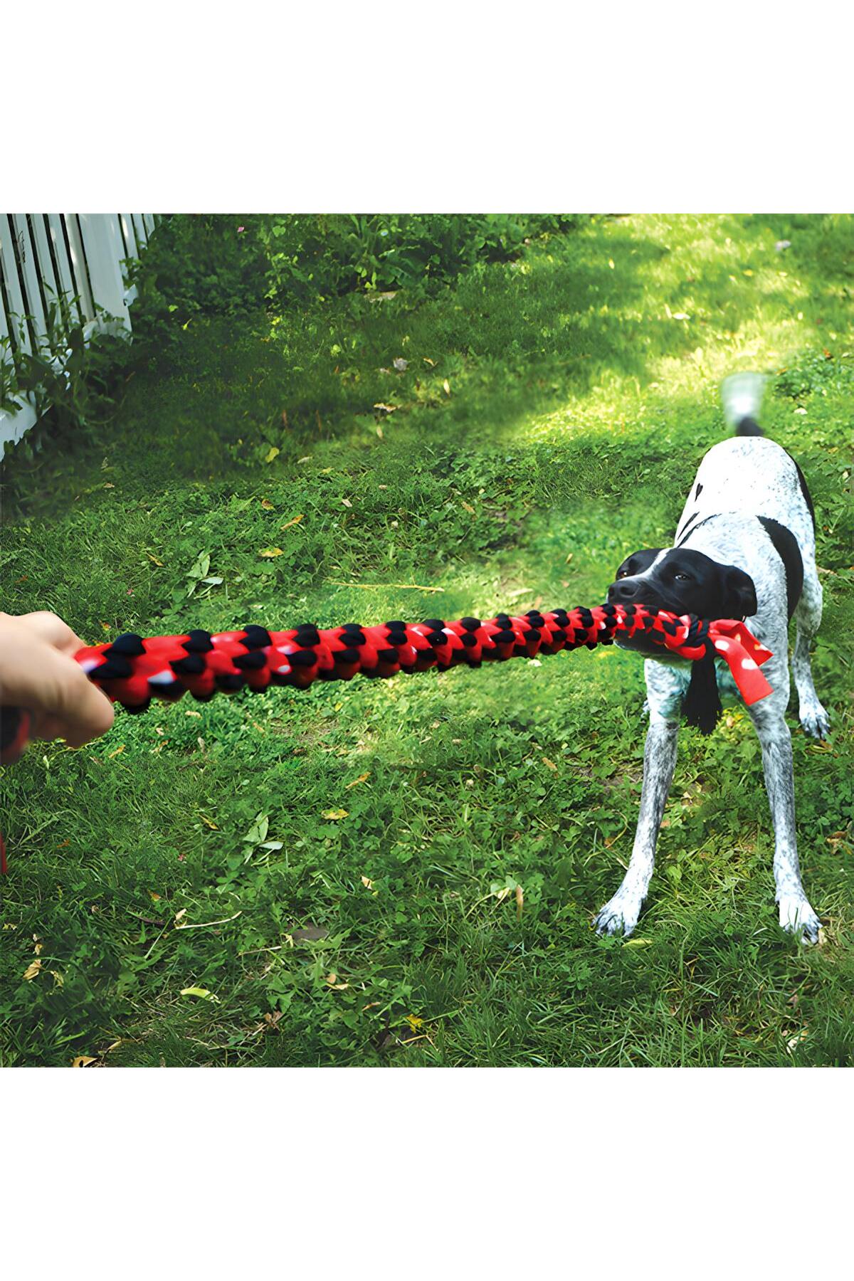 اسباب‌بازی طنابی سگ کنگ Kong Signature Rope Mega با گره دوتایی، ۱۰۱ سانتی‌متر چندرنگ