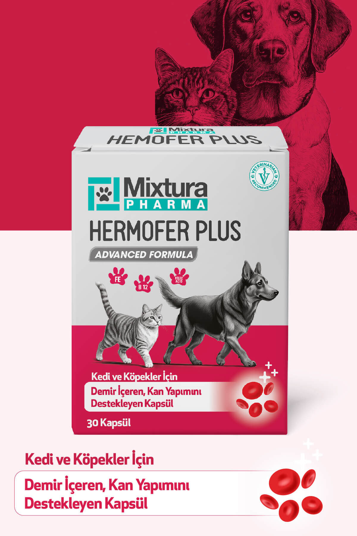 قرص ویتامین خون و آهن گربه و سگ میکسچورا فارما Mixtura Pharma Hemofer Forte مدل MT6000