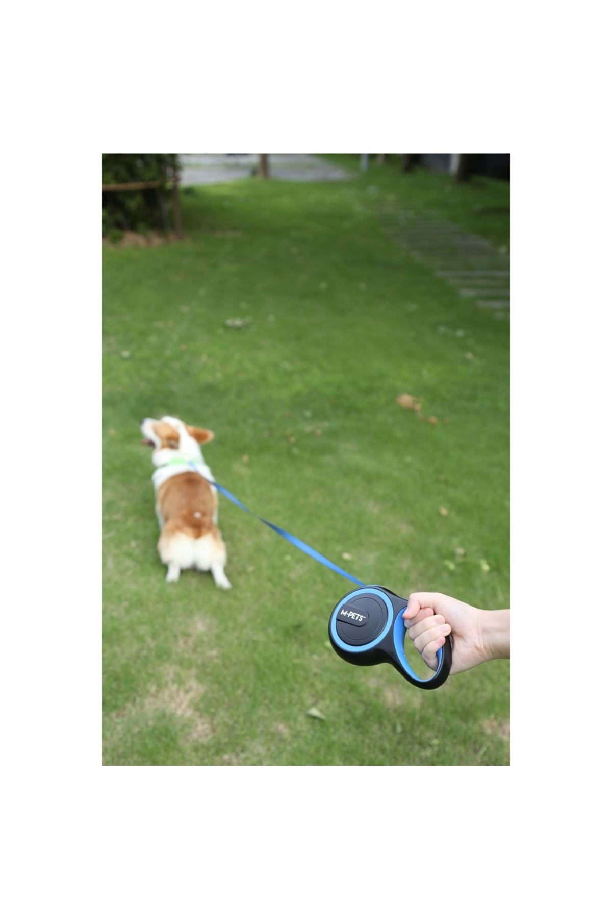 قلاده اتوماتیک سگ ام‌پتس M-PETS، آبی، سایز S، طول ۳ متر