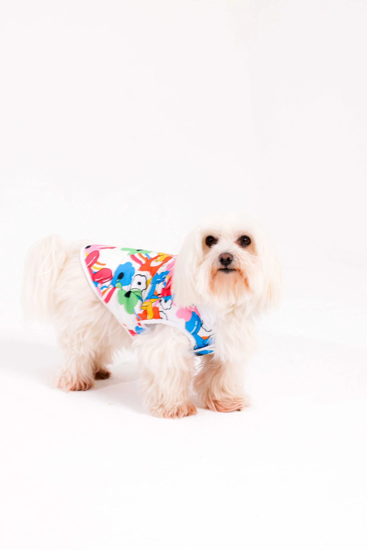 کاپشن پافر سگ هایپت فشن Hypet Fashion مدل Bubble Dogs Puffer، چندرنگ