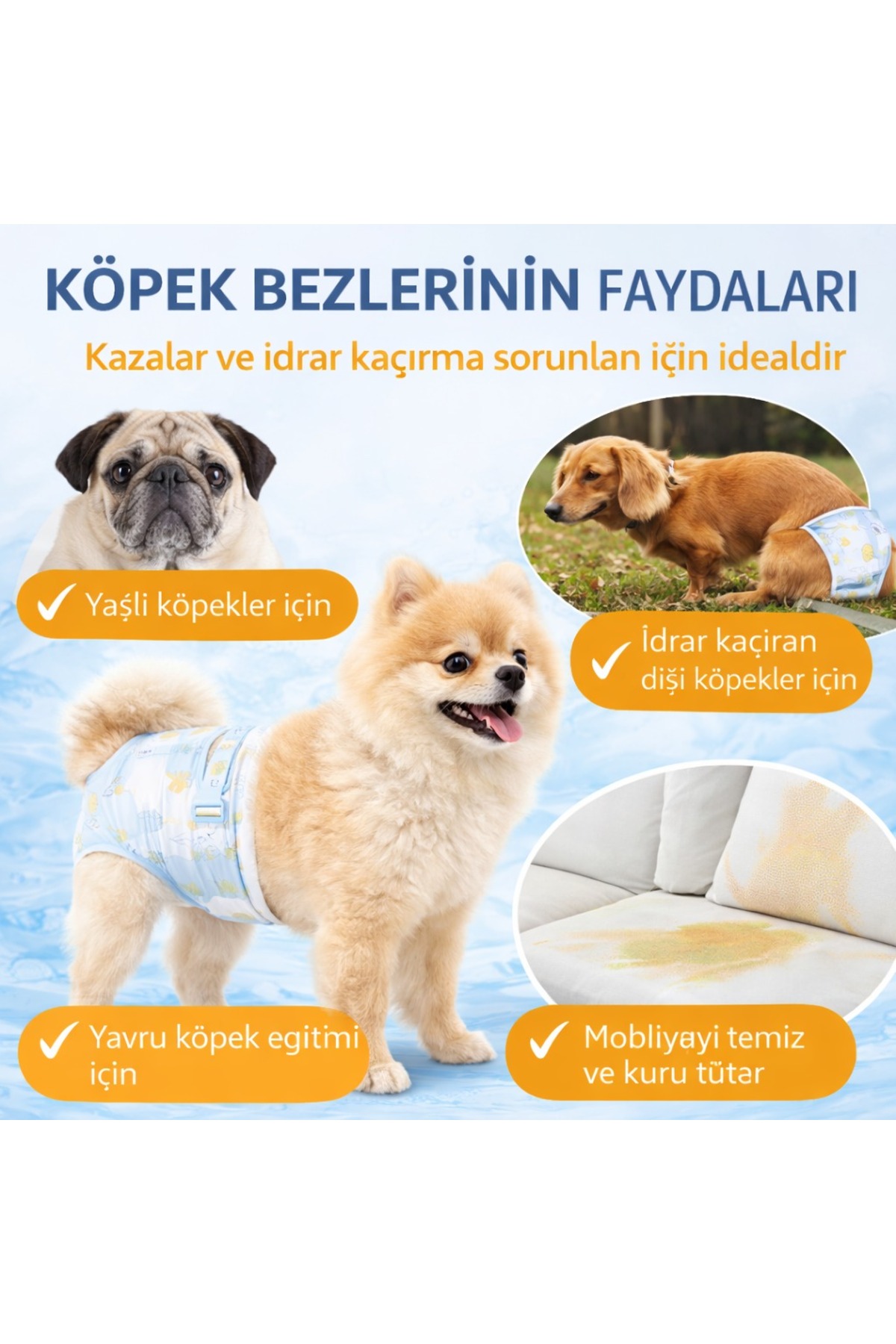 پوشک شورت سگ و گربه سایز S مدل MAD-215، بسیار جاذب و ضدنشت مدپت MadPet