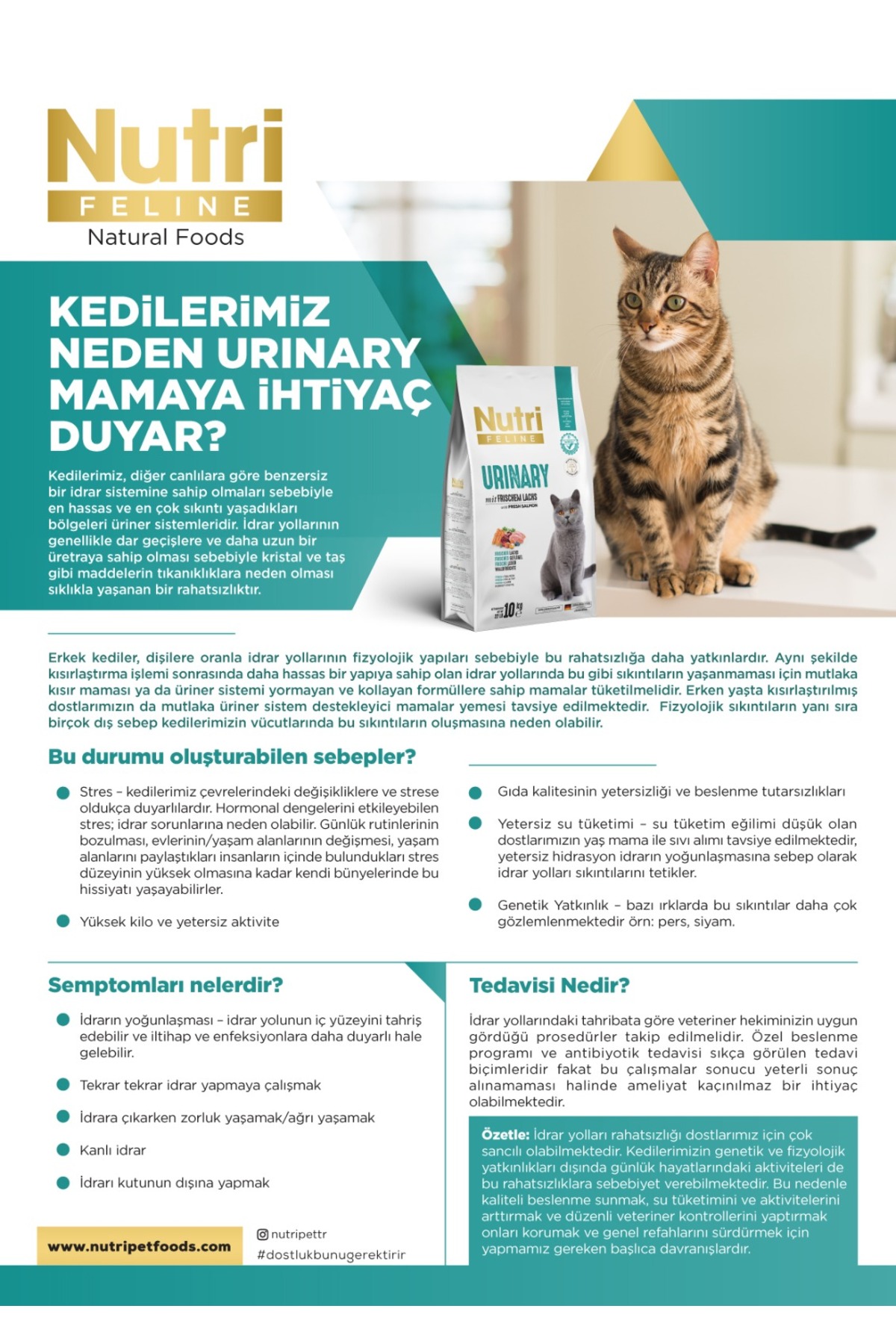 غذای خشک گربه نوتری فلاین Nutri Feline Urinary، ۲ کیلوگرم