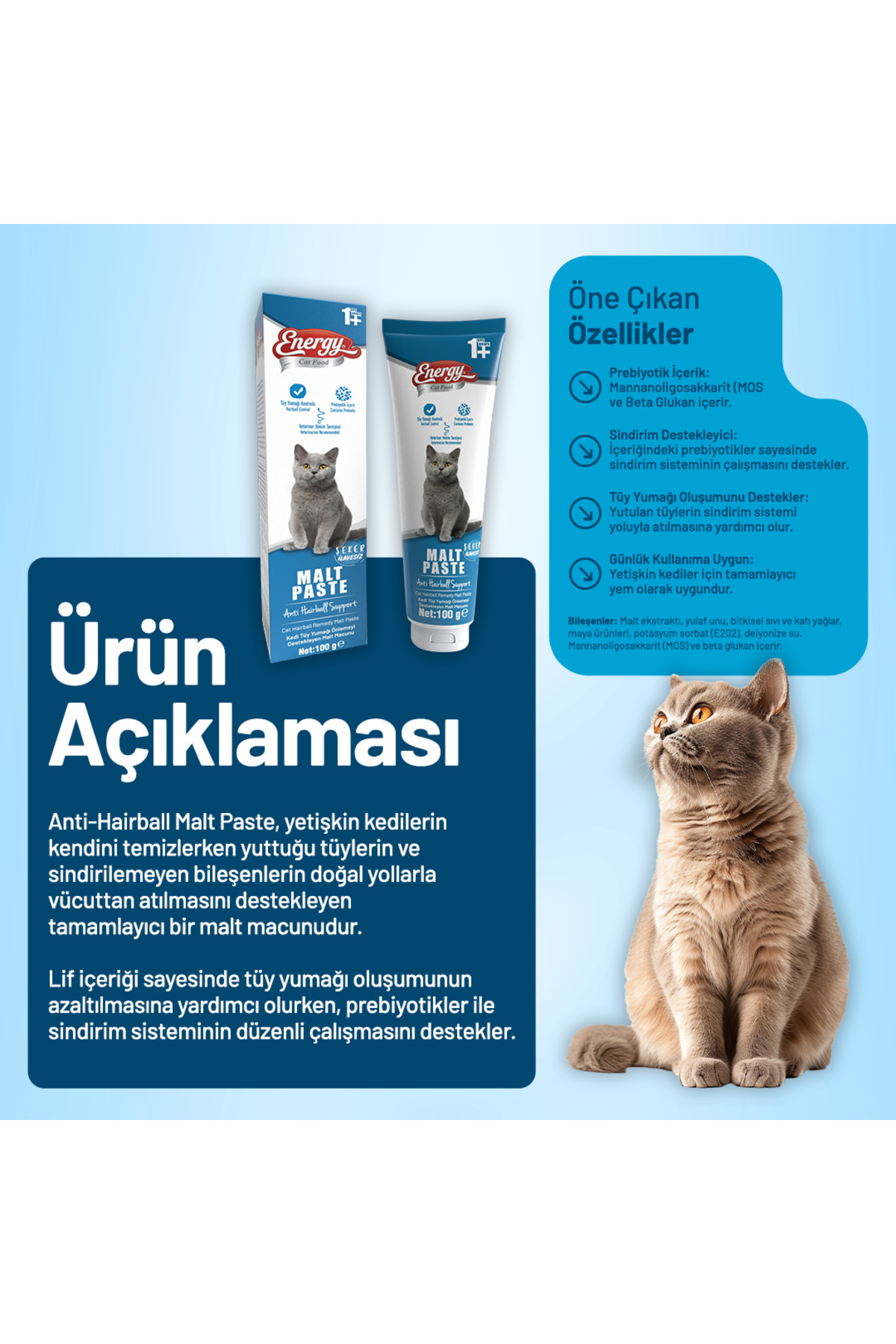 خمیر مالت گربه بالغ ۱۰۰ گرمی، بسته ۱۲ عددی کت فود انرژی Cat Food Energy