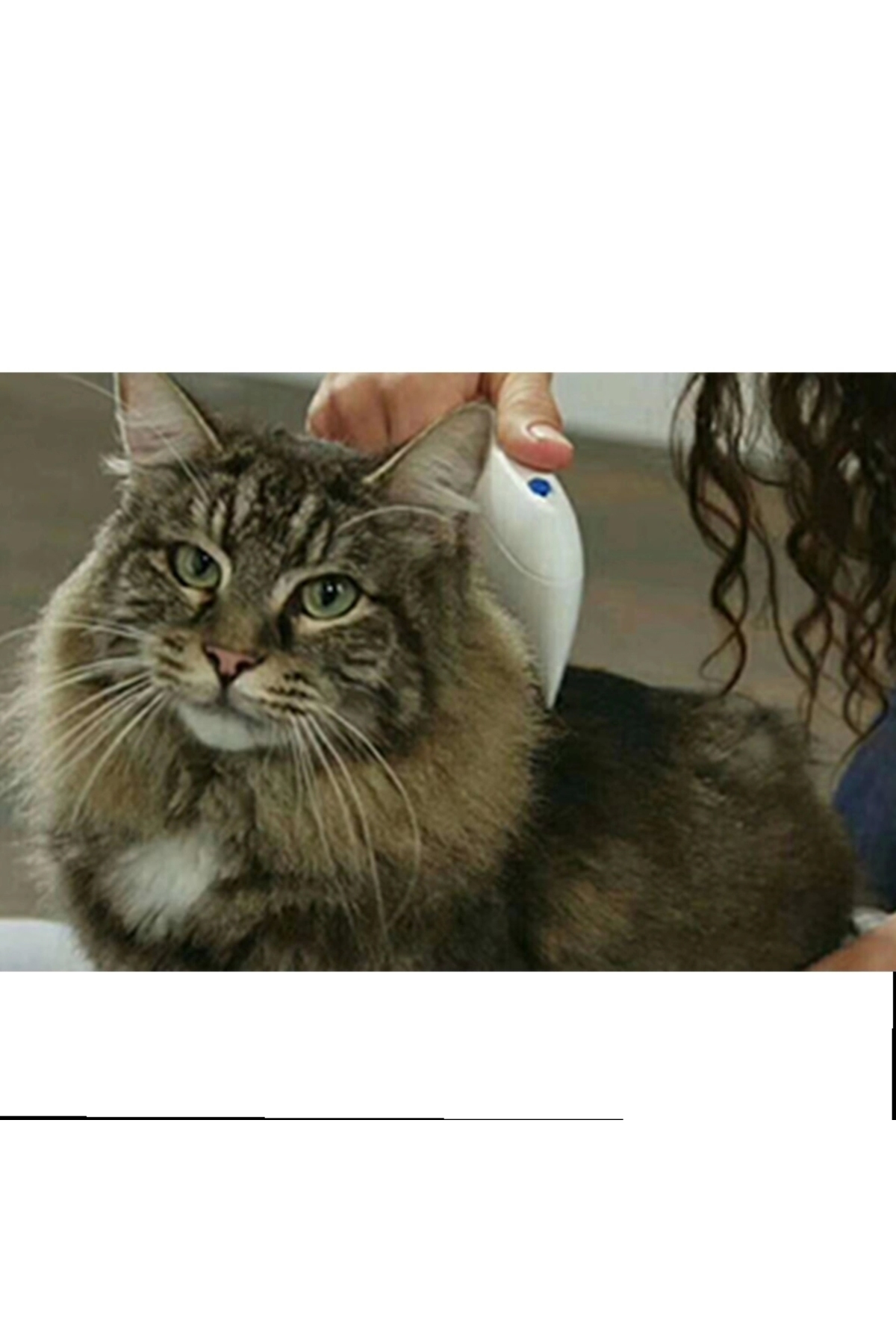 شانه ضدکک باتری‌خور حشره‌کش حیوانات اپیلونس Epilons Flea Doctor، چندرنگ