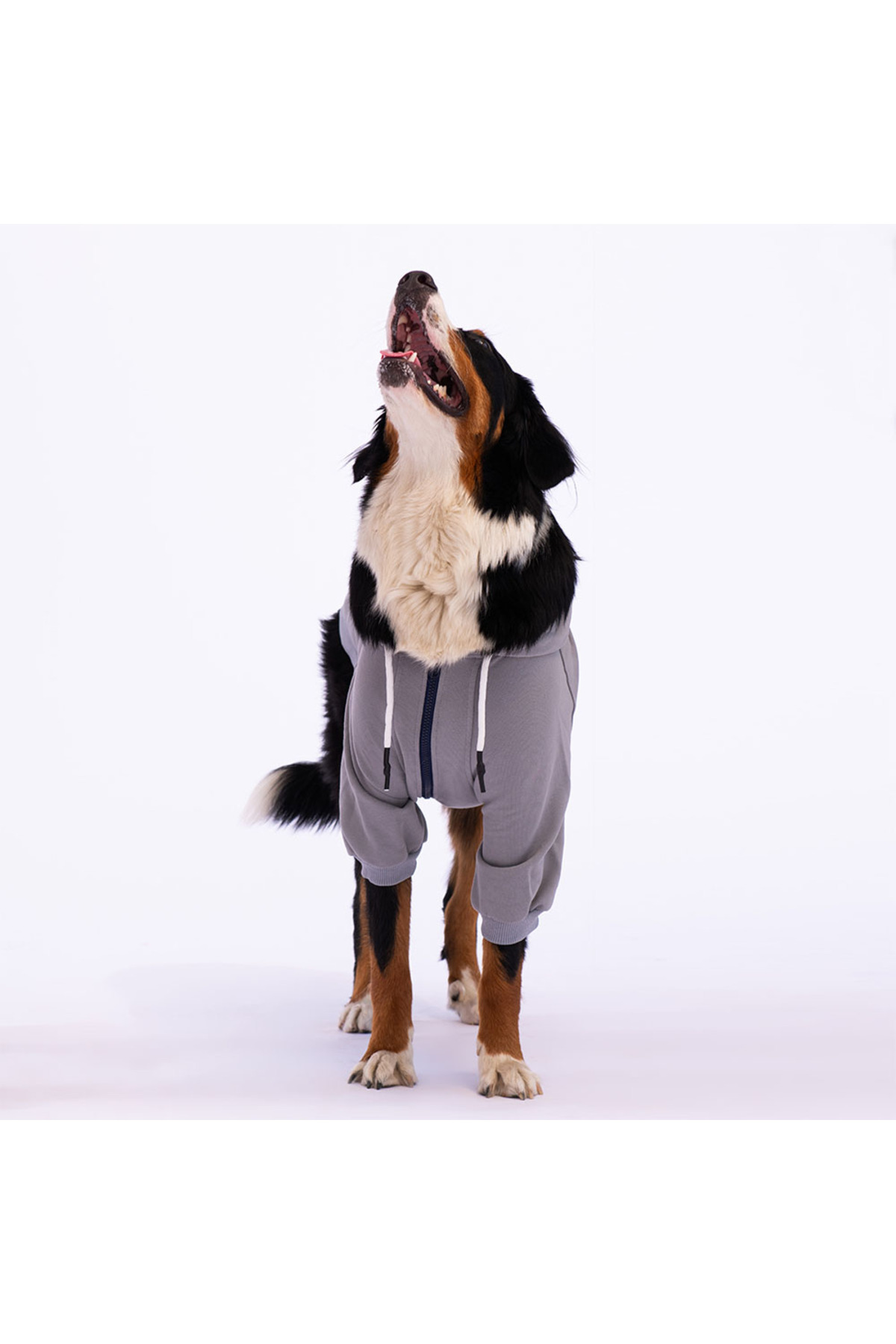ژاکت سگ پاوستار Pawstar مدل AD2320، طرح Angry Dog، طوسی، مناسب نژادهای متوسط و بزرگ