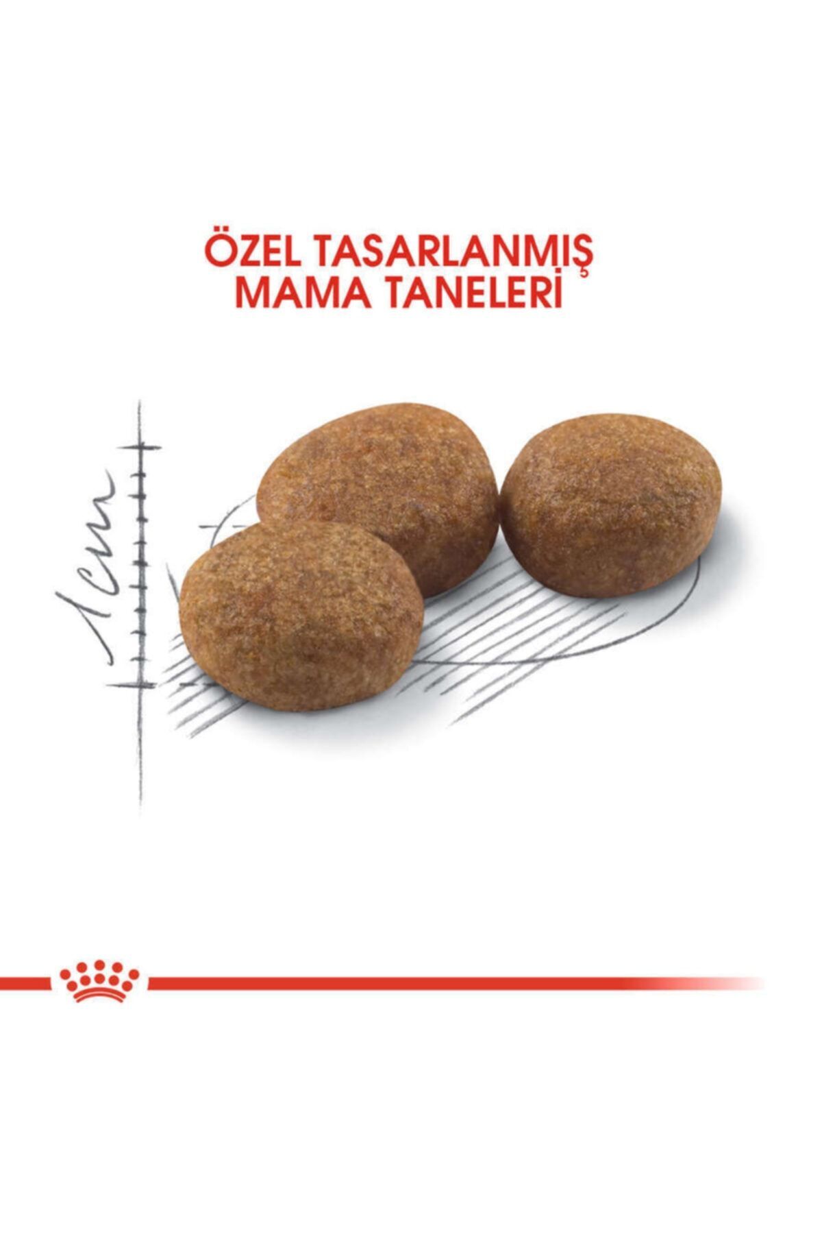 غذای خشک گربه رویال کنین Royal Canin Sterilised 37، ۲ کیلوگرم