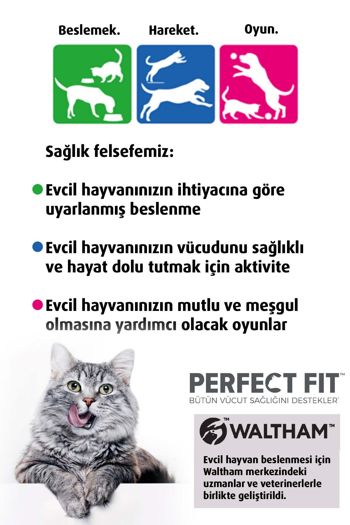 غذای خشک گربه بالغ با طعم گوشت گاو Active، ۷۵۰ گرم