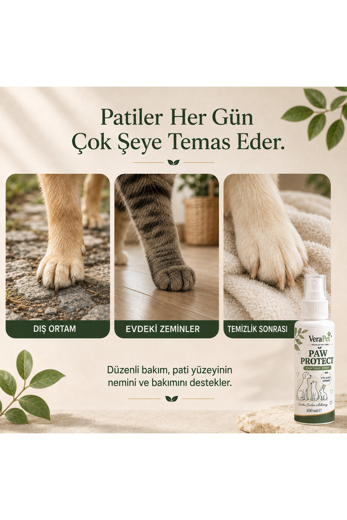 اسپری مراقبت از پنجه وراپت VERAPET Premium، ۱۰۰ میلی‌لیتر