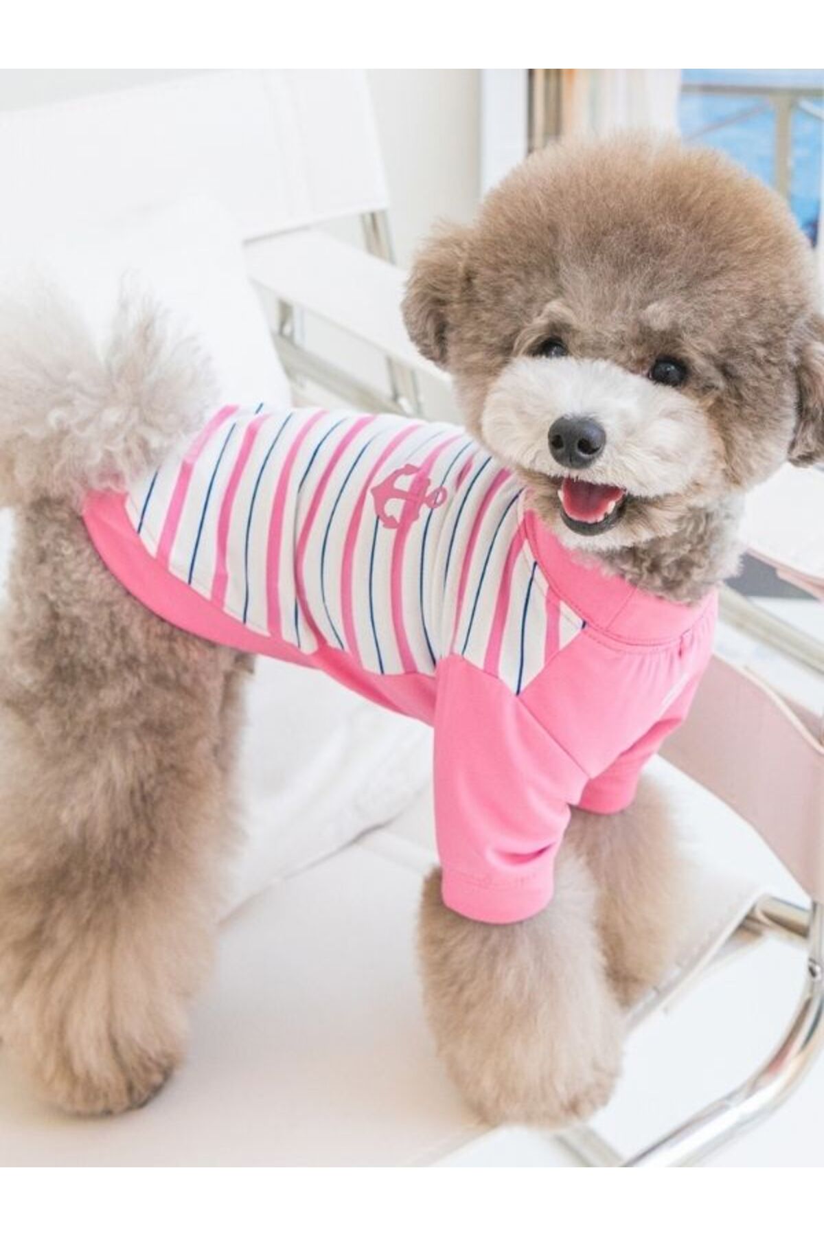 لباس سگ Marino پوپیا Puppia، صورتی