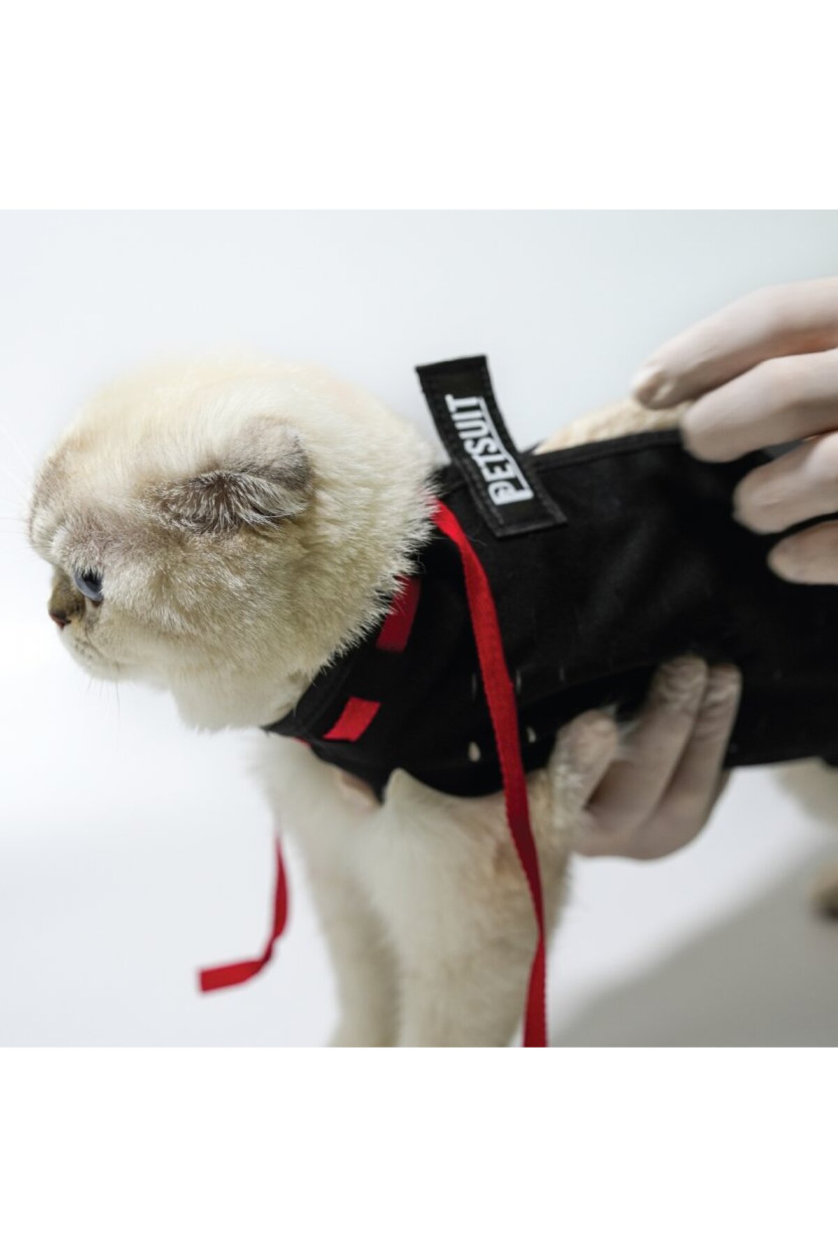 لباس محافظ زخم سگ و گربه پت‌سویت Petsuit، مدل YKK-S، مشکی
