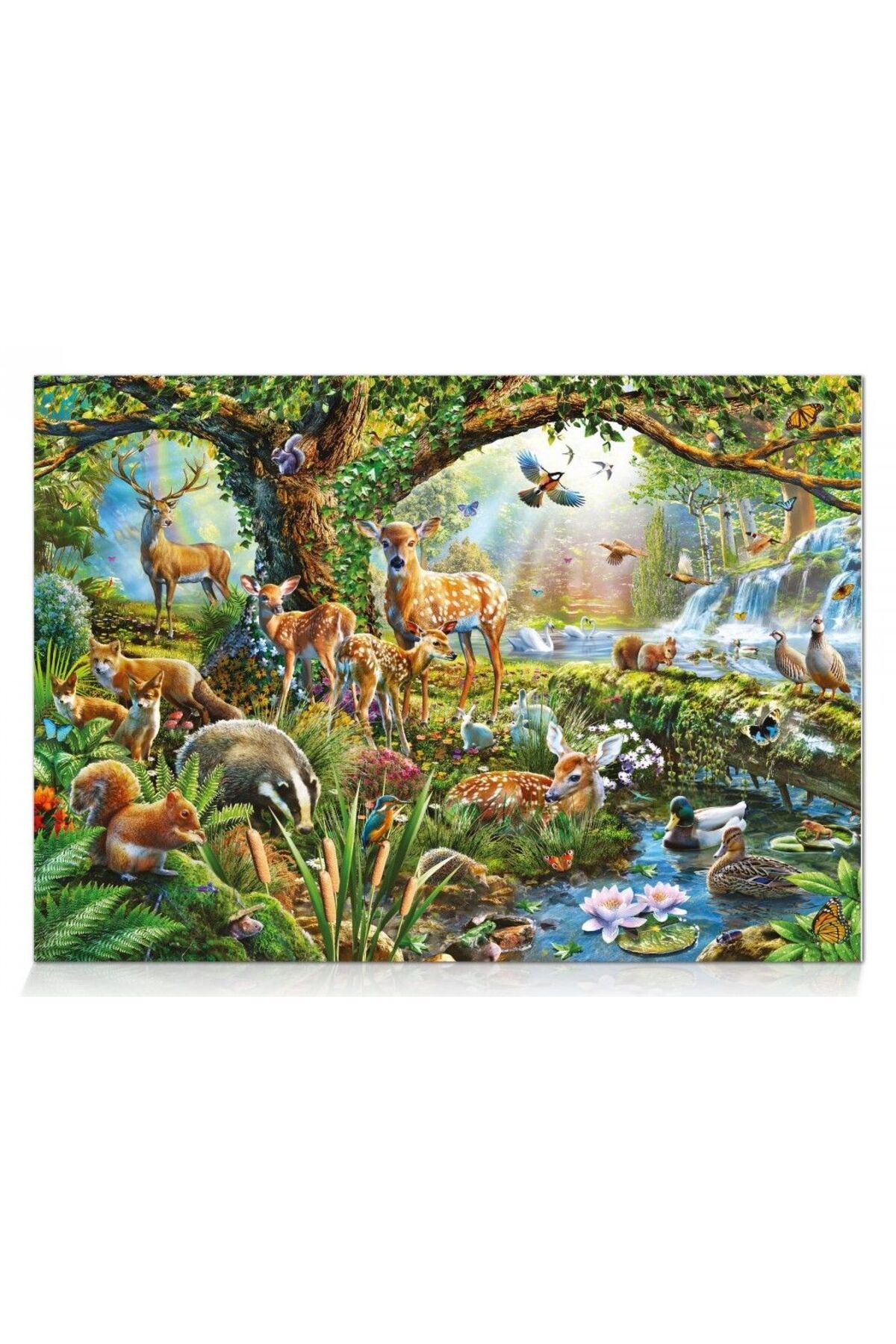 پازل 1000 قطعه زندگی در جنگل از ترکیه Star Puzzle