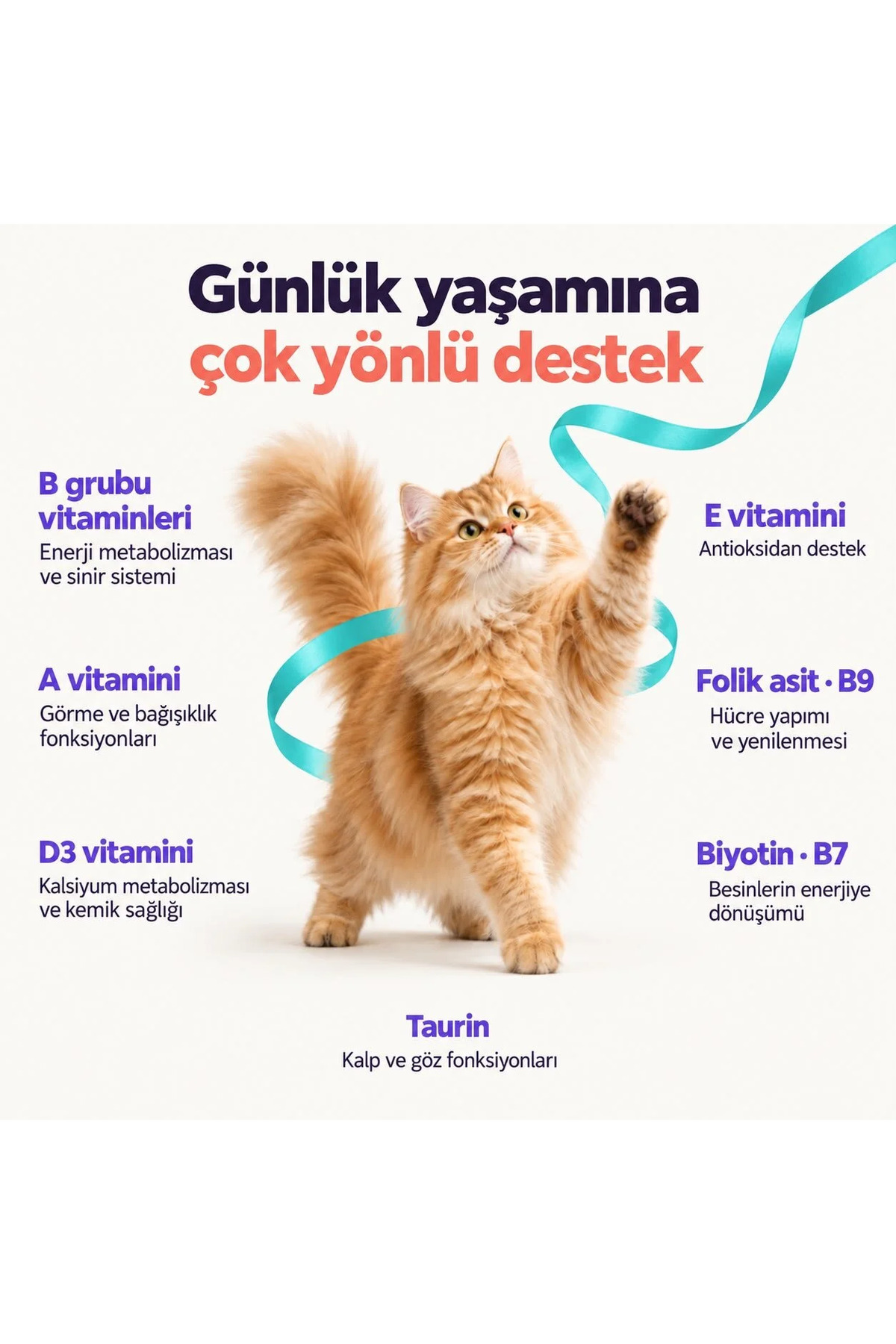مکمل مولتی‌ویتامین گربه وتین Vetinn Daily Vitamix، پودر ۱۵۰ گرمی