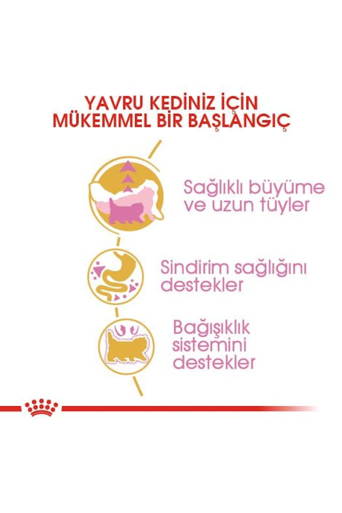 غذای خشک بچه‌گربه پرشین رویال کنین Royal Canin Persian Kitten، ۲ کیلوگرم
