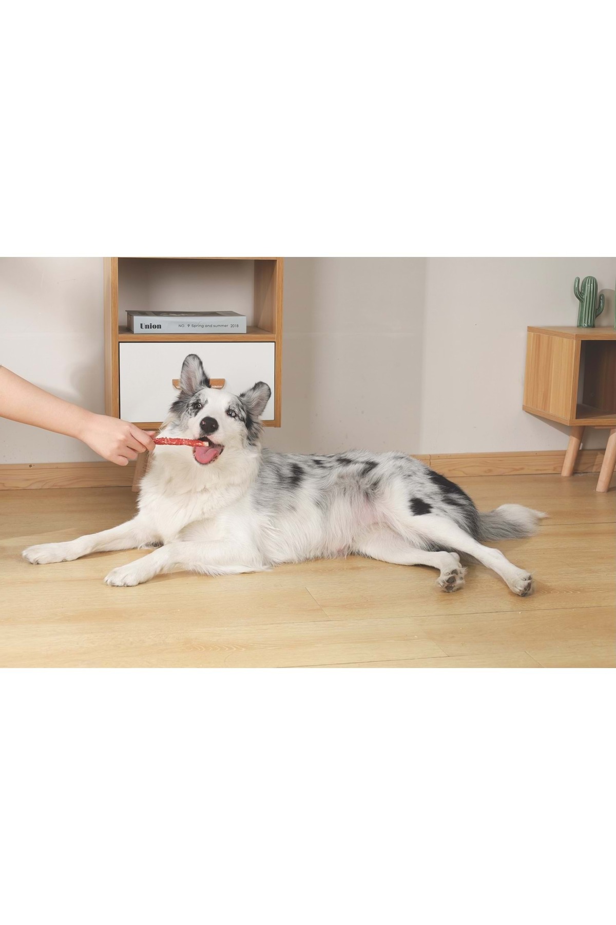 تشویقی سگ با اردک و روکش ماهی کاد، ام‌پتس M-PETS Bite Delight، ۱۳ سانتی‌متر، ۲ کیلوگرم