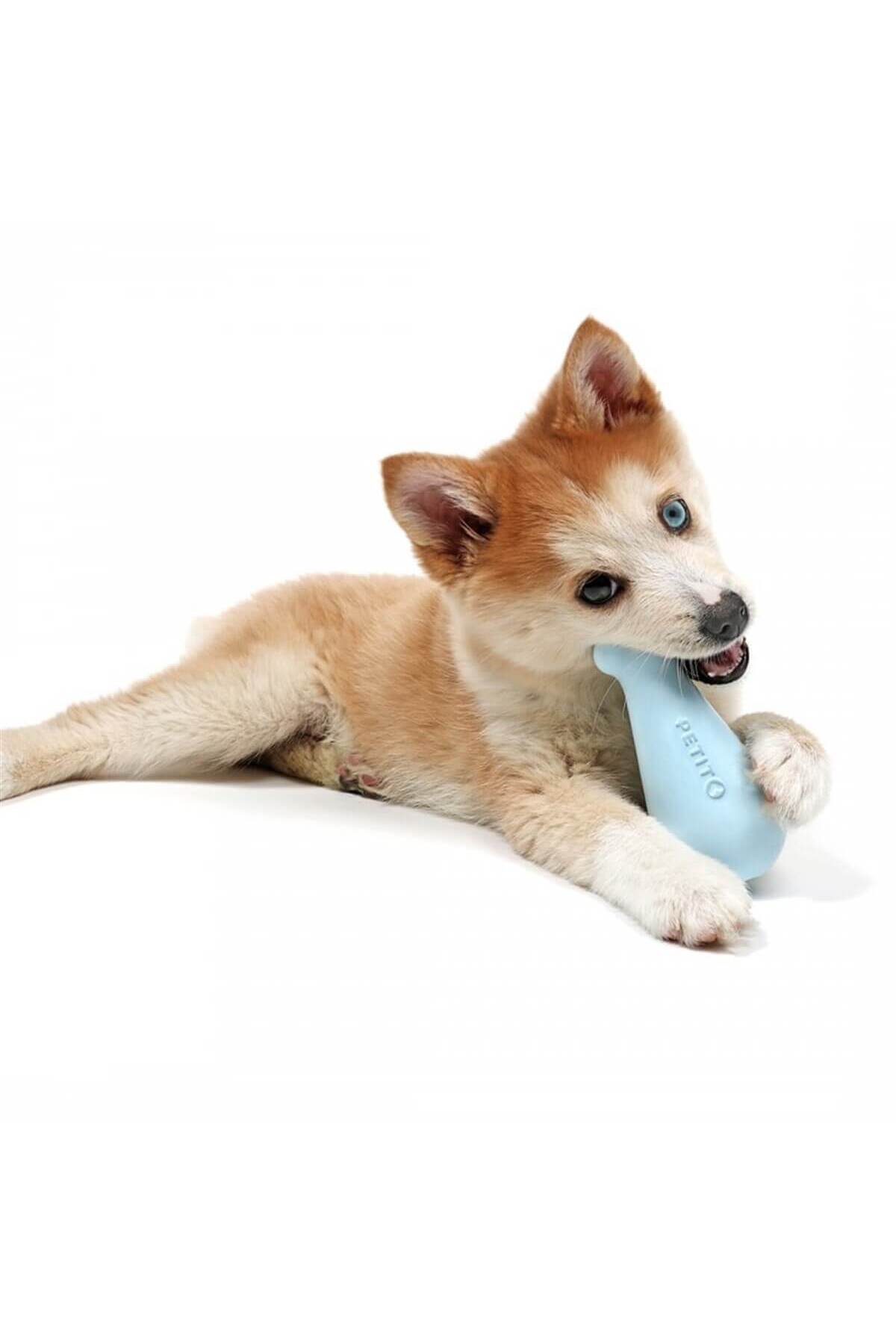 اسباب‌بازی تشویقی سگ دوو Duvo +Petit Treat Toy Chico، مدل 9250376