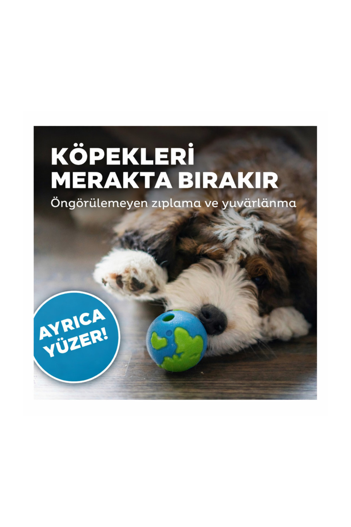توپ تشویقی آموزشی و بازی سگ اوت‌وارد هاوند Outward Hound، سری Orbee-Tuff، آبی، مناسب نژادهای کوچک
