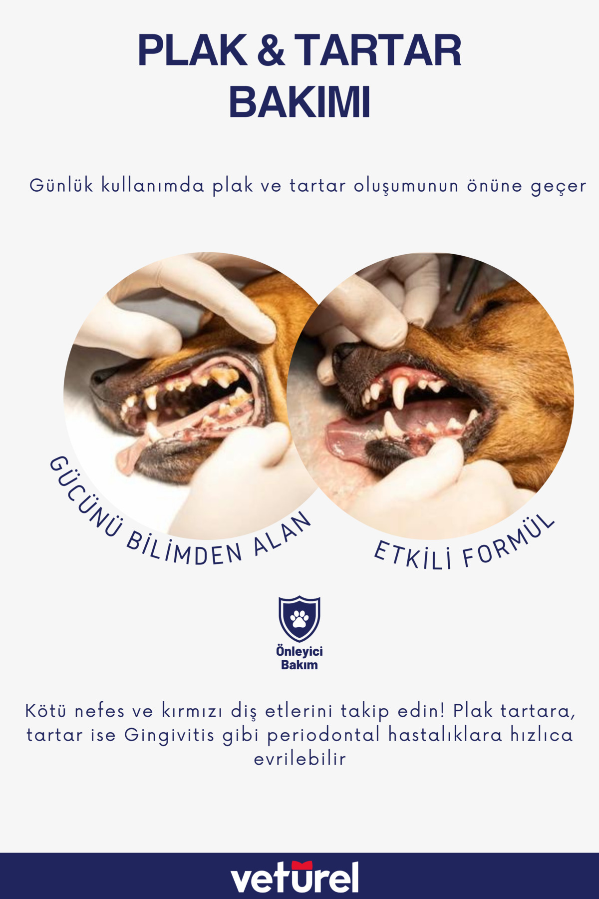 ست مراقبت چشم و دهان حیوانات خانگی وتورل Veturel مدل VTR.AD.GB.0100