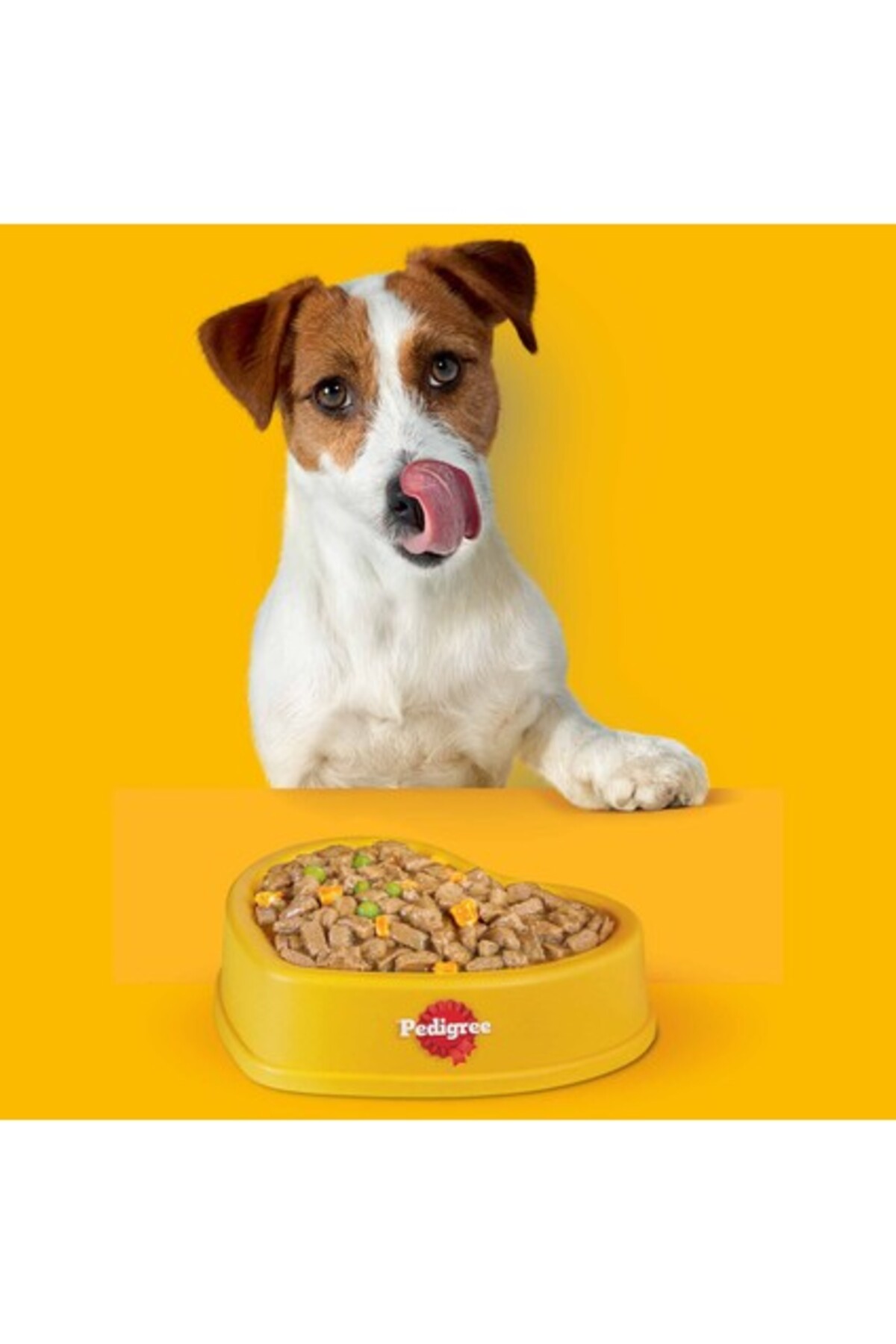 غذای خشک سگ بالغ نژاد غول‌پیکر رویال کنین Royal Canin، ۱۵ کیلوگرم